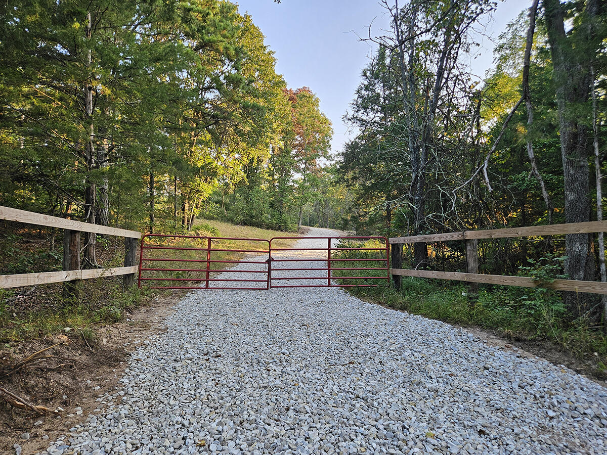 Photo 6 - Land for sale – 0  County Road 235   Drury, MO
