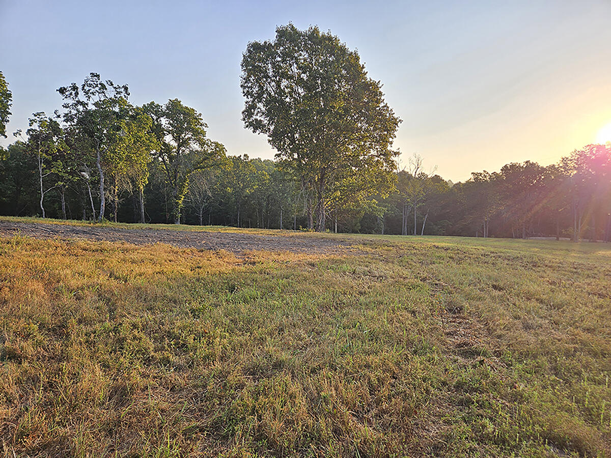 Photo 21 - Land for sale – 0  County Road 235   Drury, MO