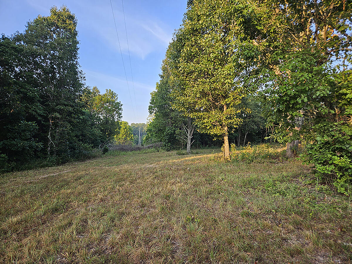 Photo 23 - Land for sale – 0  County Road 235   Drury, MO