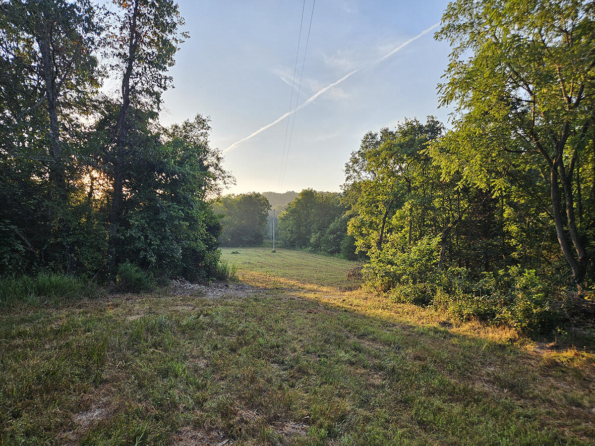 Photo 12 - Land for sale – 0  County Road 235   Drury, MO