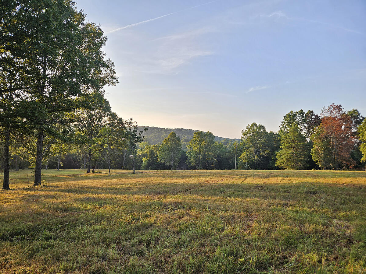 Photo 17 - Land for sale – 0  County Road 235   Drury, MO