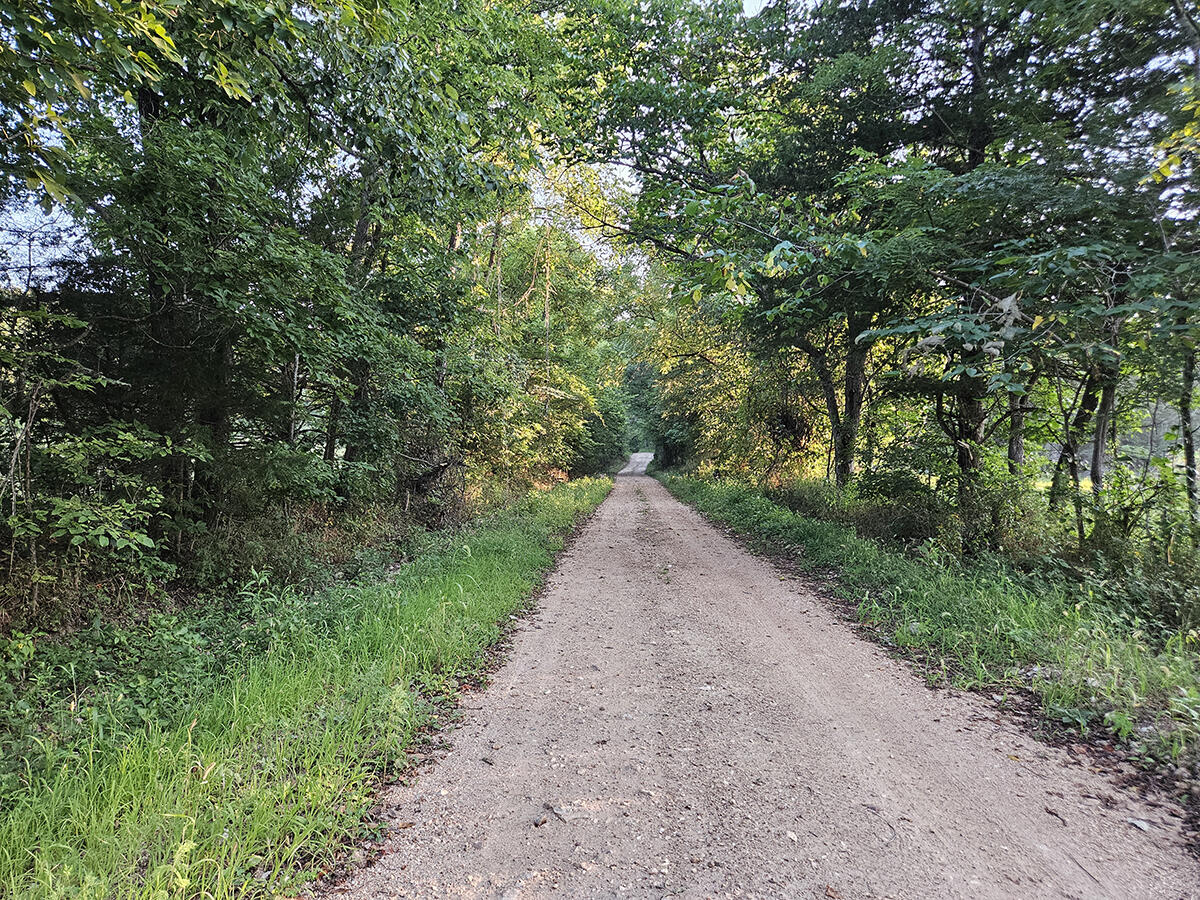 Photo 35 - Land for sale – 0  County Road 235   Drury, MO