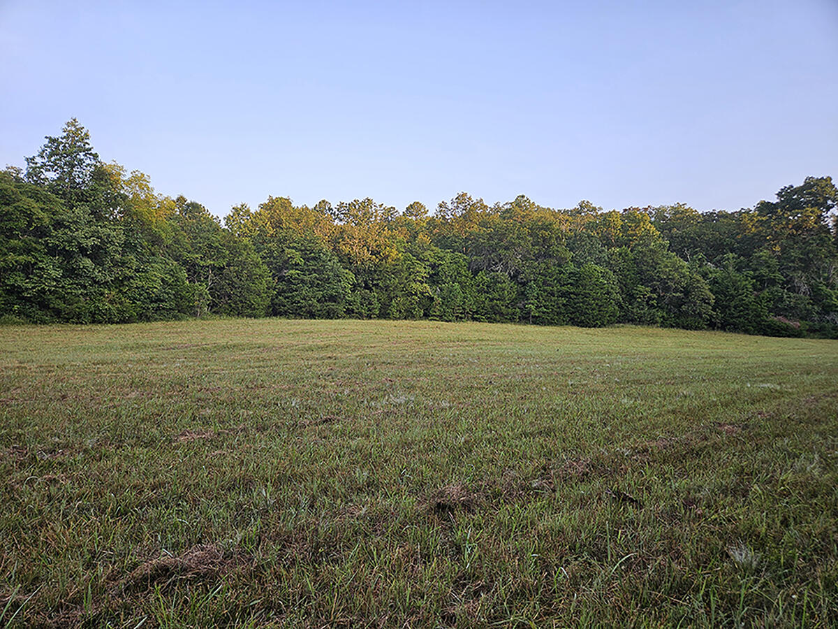 Photo 33 - Land for sale – 0  County Road 235   Drury, MO