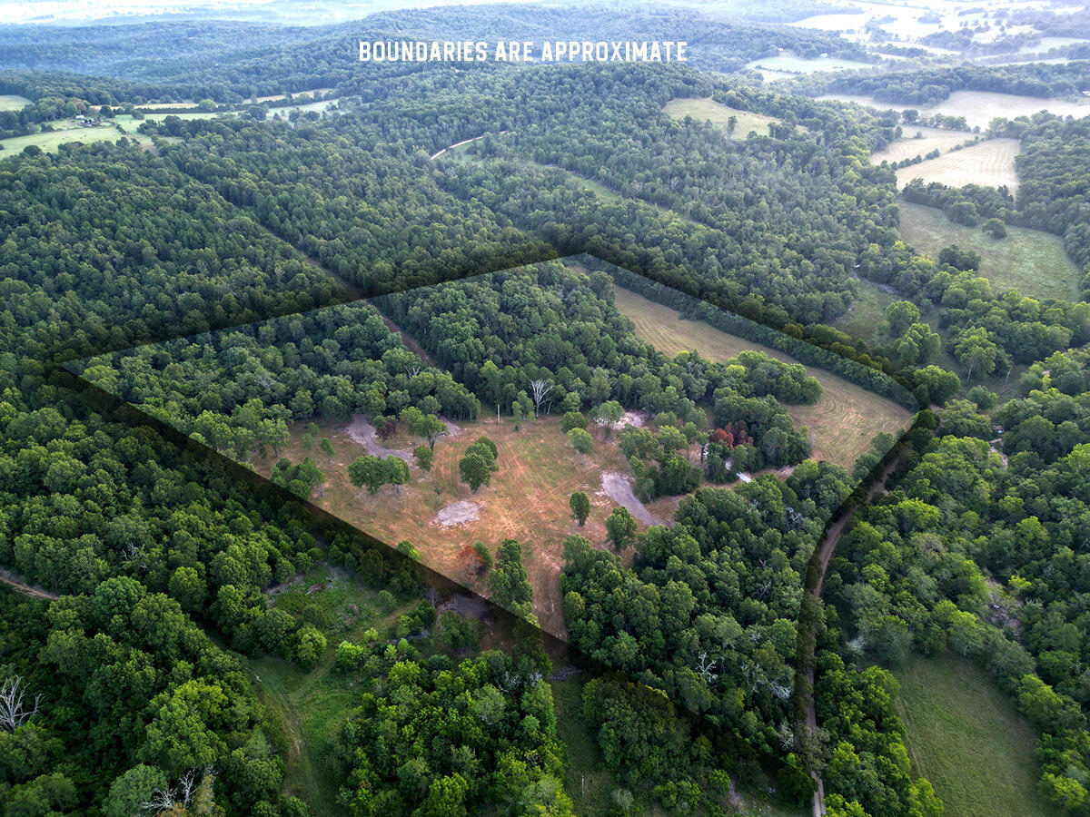Photo 3 - Land for sale – 0  County Road 235   Drury, MO