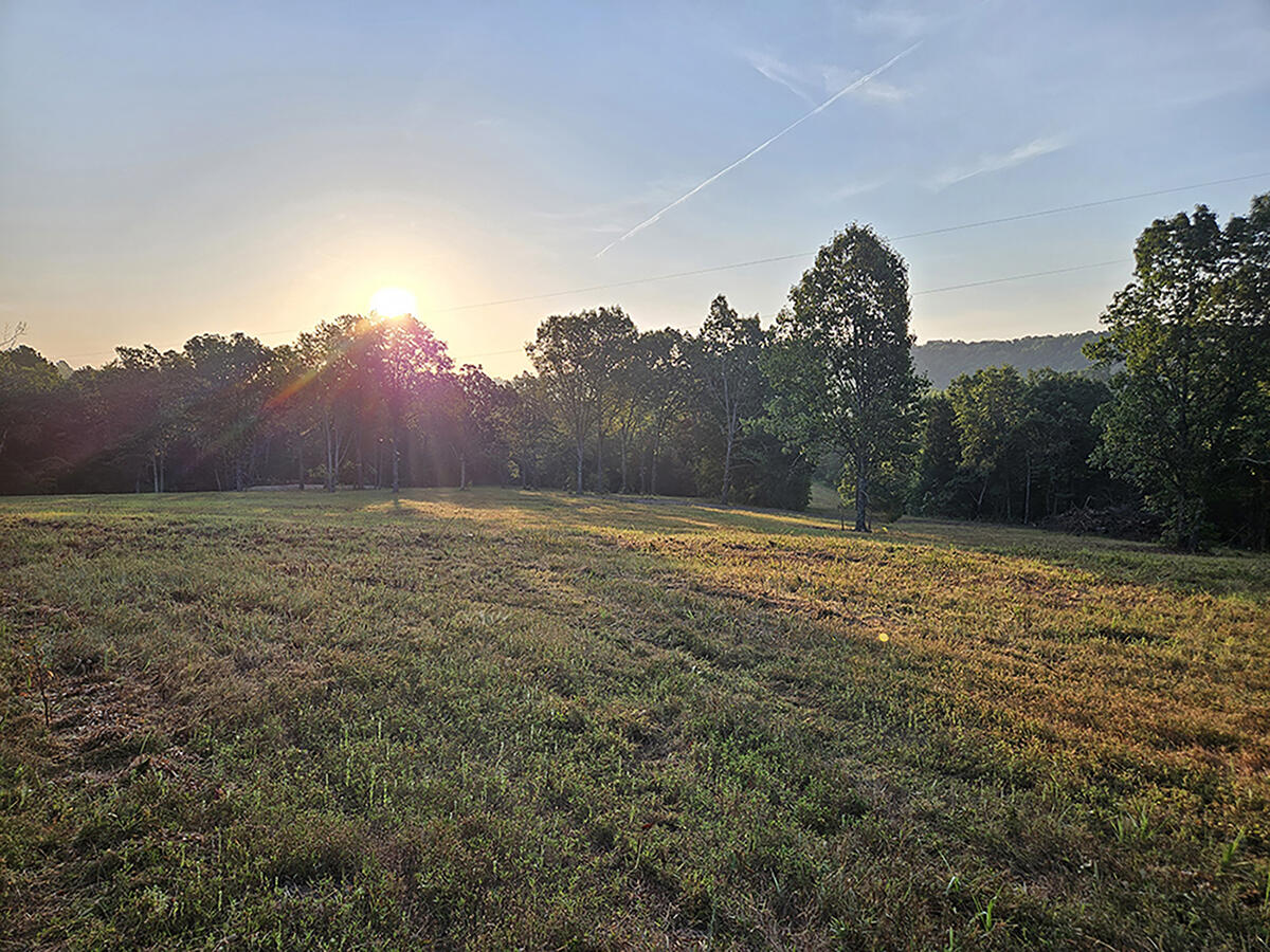 Photo 22 - Land for sale – 0  County Road 235   Drury, MO