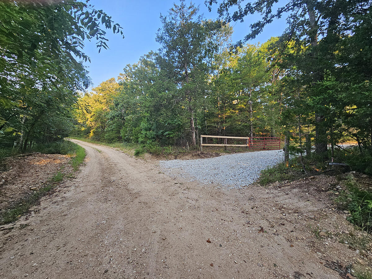 Photo 8 - Land for sale – 0  County Road 235   Drury, MO