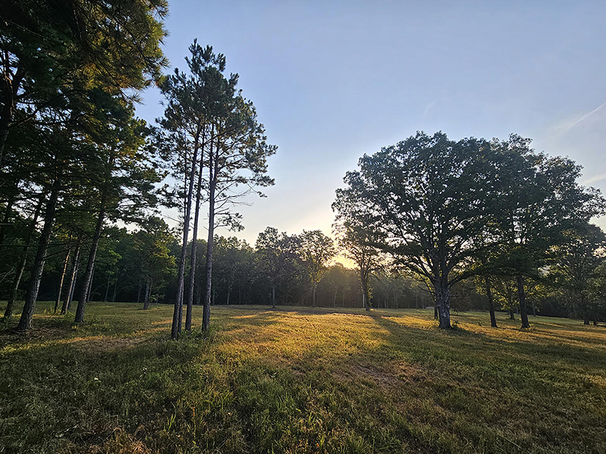 Photo 18 - Land for sale – 0  County Road 235   Drury, MO
