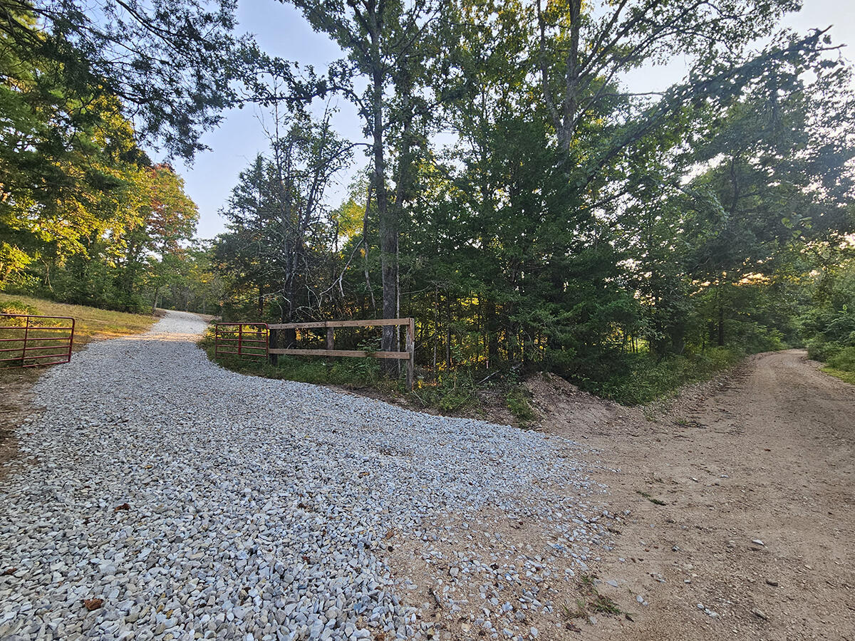 Photo 7 - Land for sale – 0  County Road 235   Drury, MO