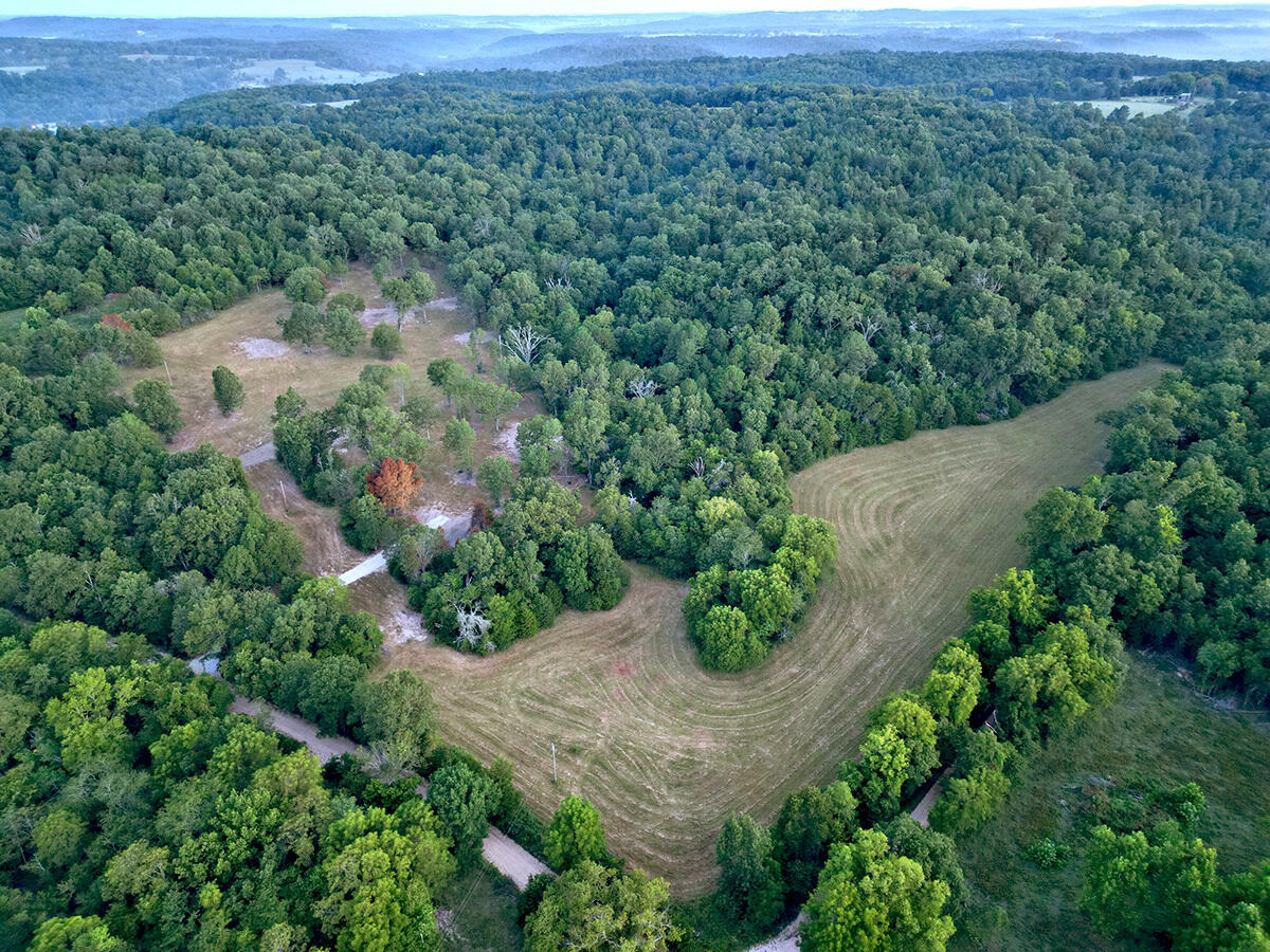Photo 36 - Land for sale – 0  County Road 235   Drury, MO