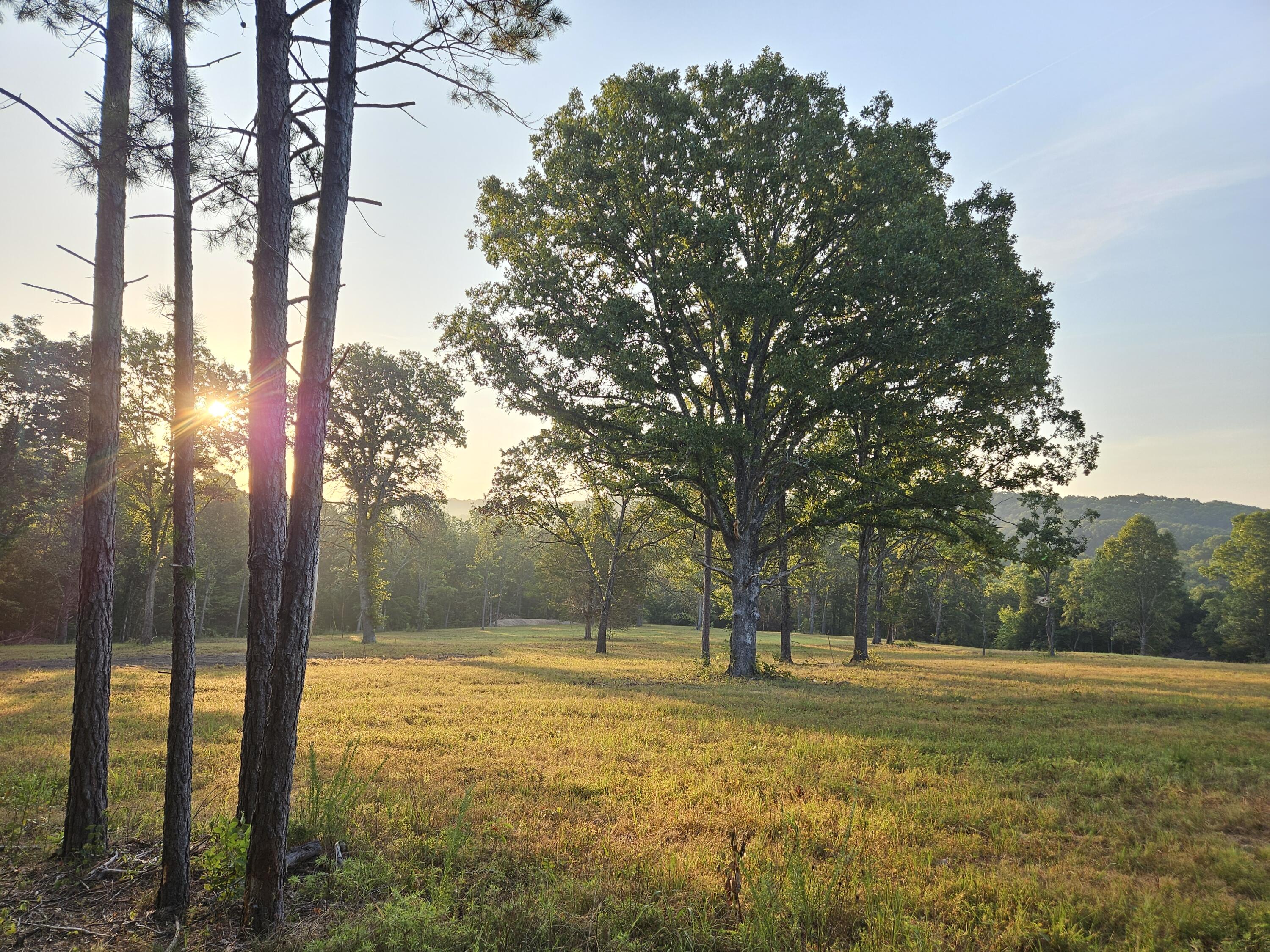 Land for sale – 0  County Road 235   Drury, MO