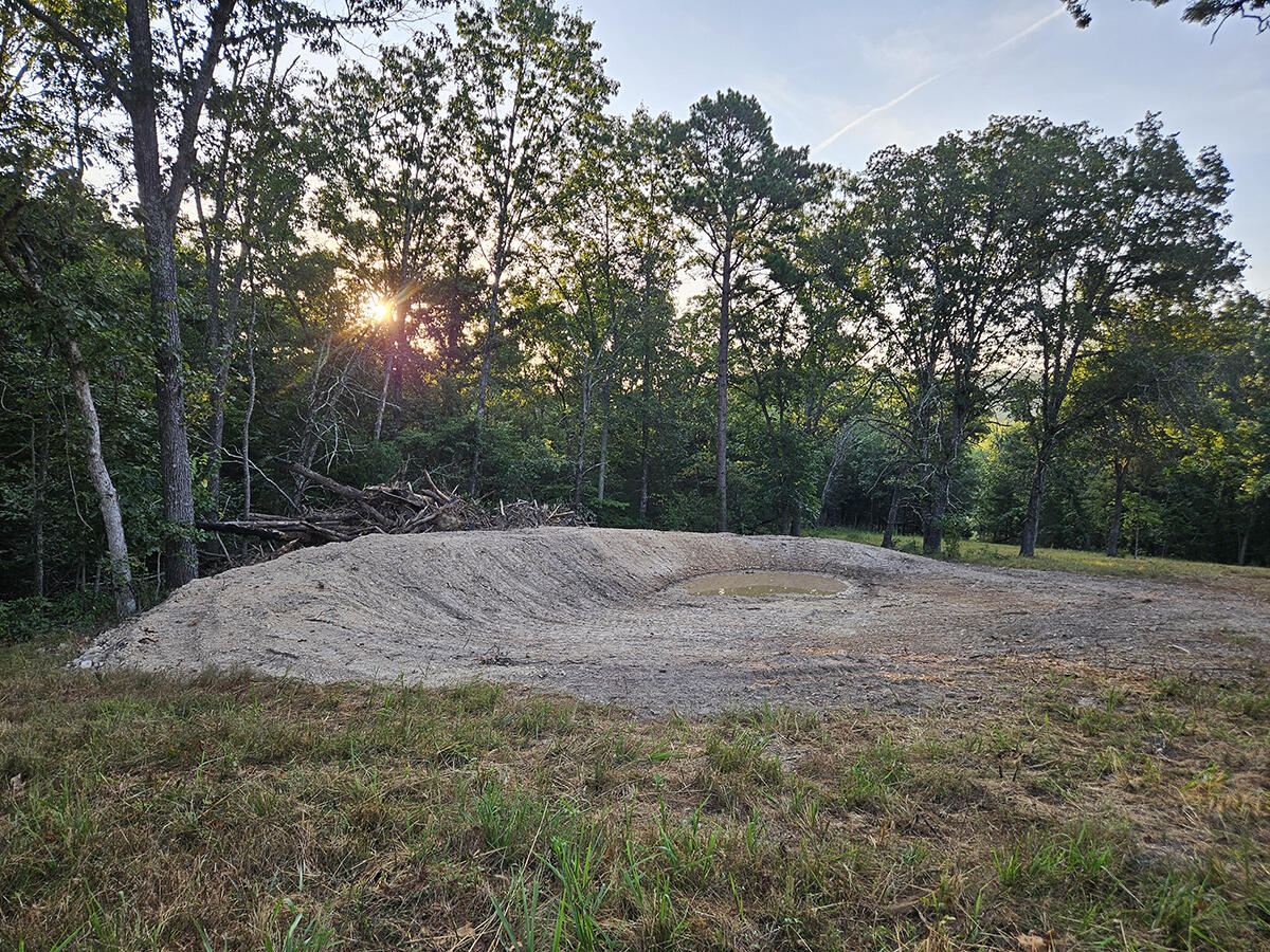 Photo 14 - Land for sale – 0  County Road 235   Drury, MO