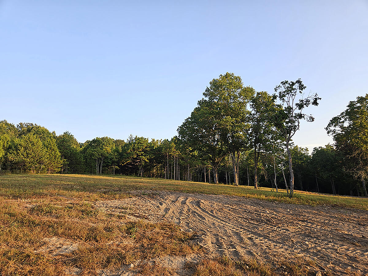 Photo 20 - Land for sale – 0  County Road 235   Drury, MO