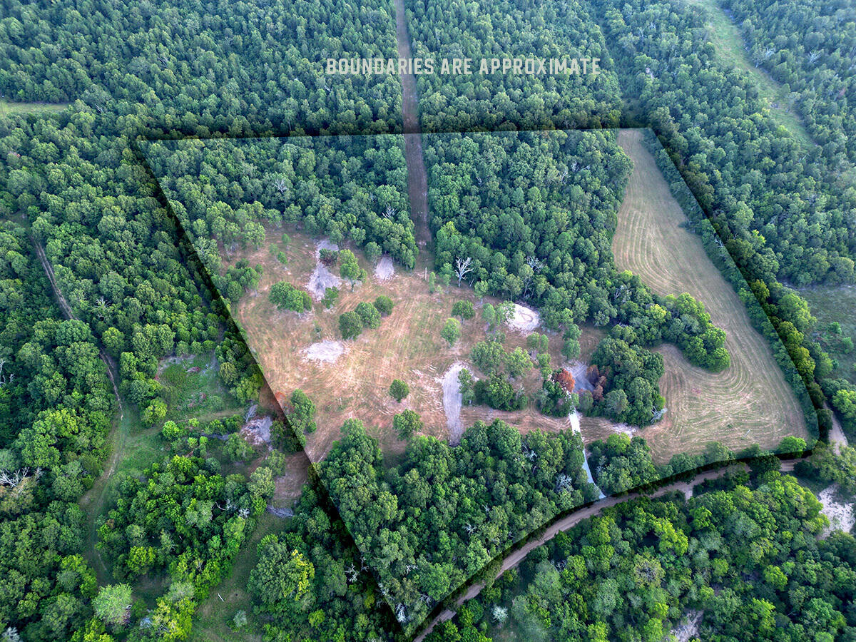 Photo 37 - Land for sale – 0  County Road 235   Drury, MO