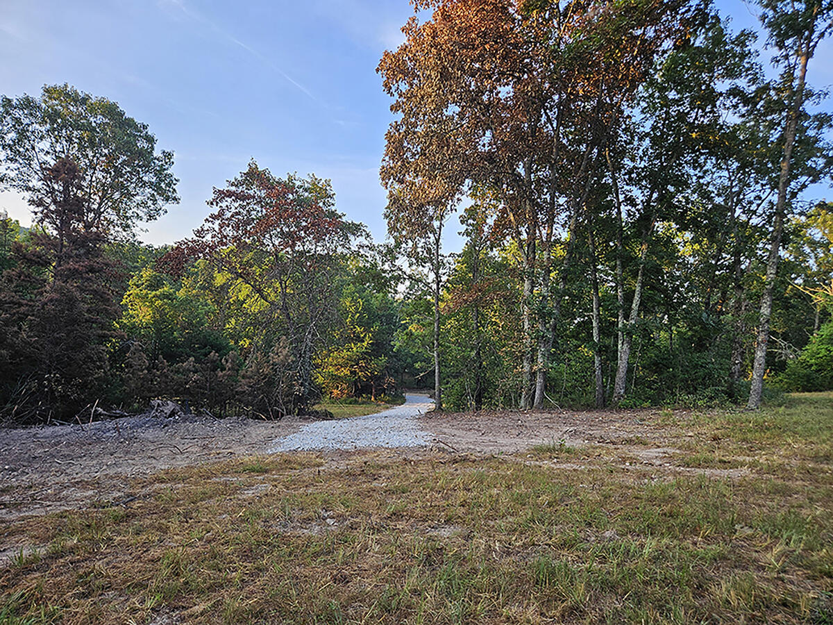 Photo 9 - Land for sale – 0  County Road 235   Drury, MO