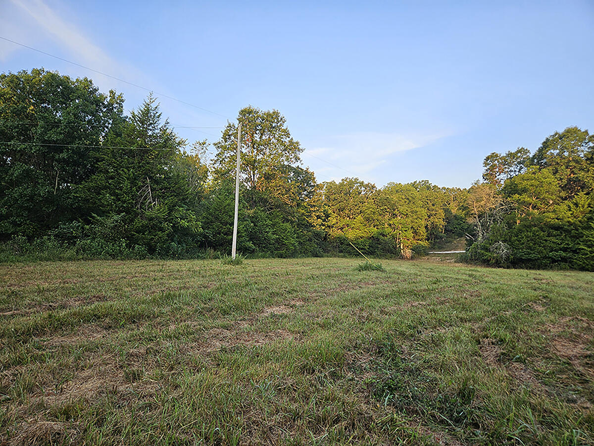 Photo 24 - Land for sale – 0  County Road 235   Drury, MO