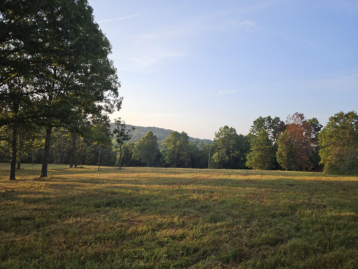 Photo 10 - Land for sale – 0  County Road 235   Drury, MO
