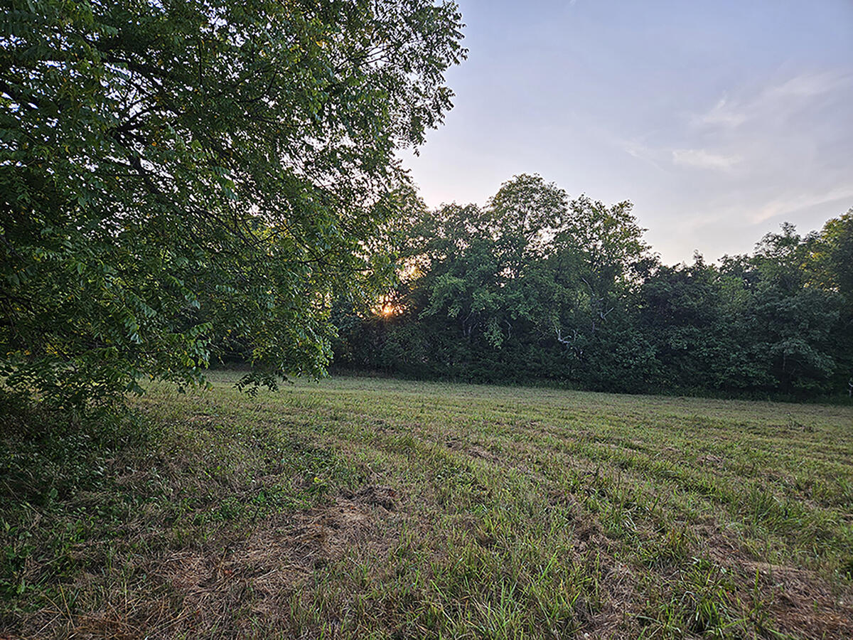 Photo 34 - Land for sale – 0  County Road 235   Drury, MO