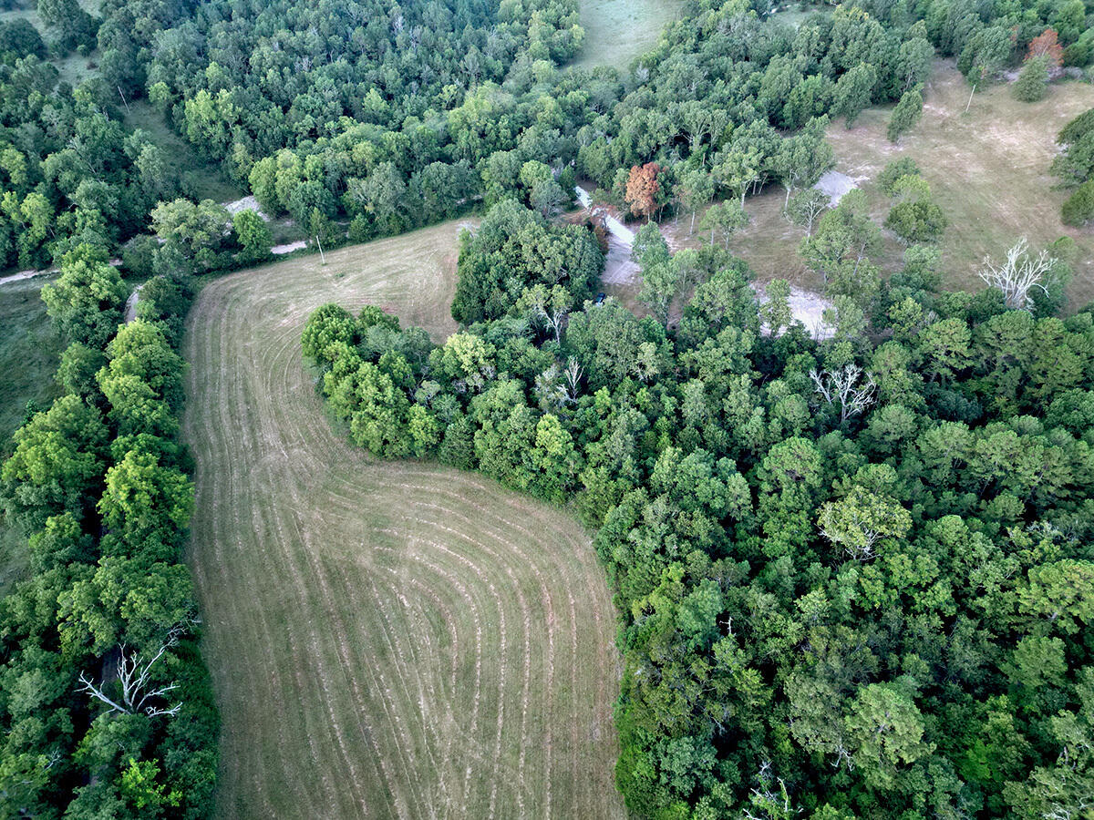 Photo 4 - Land for sale – 0  County Road 235   Drury, MO