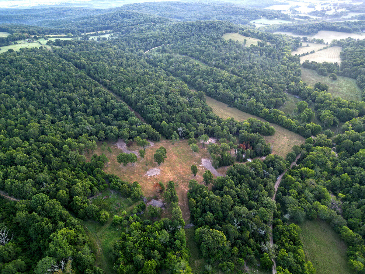 Photo 2 - Land for sale – 0  County Road 235   Drury, MO