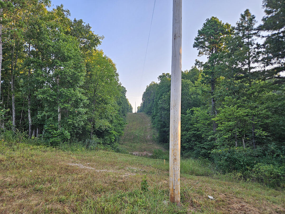 Photo 16 - Land for sale – 0  County Road 235   Drury, MO