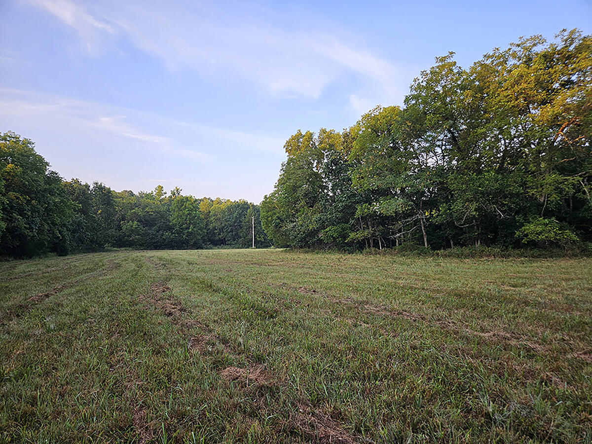 Photo 32 - Land for sale – 0  County Road 235   Drury, MO