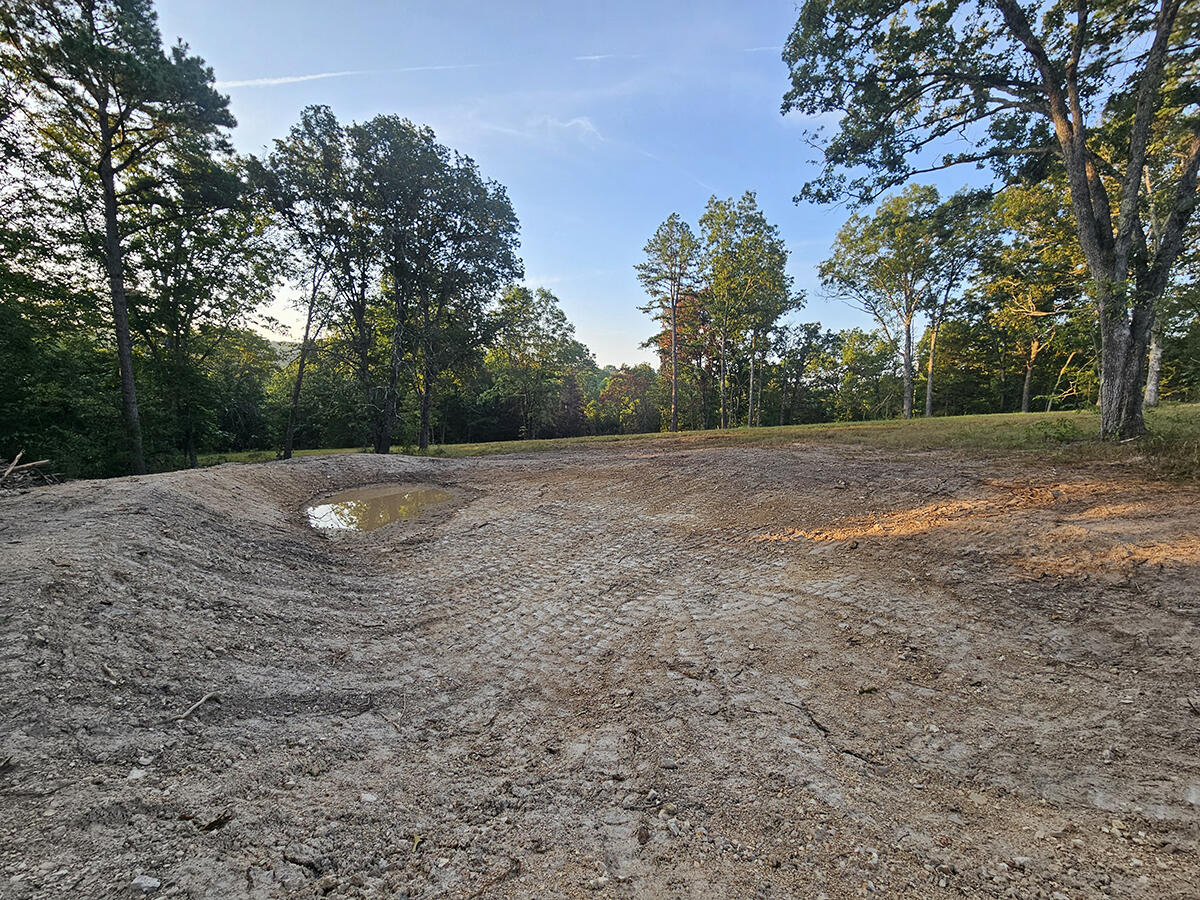 Photo 5 - Land for sale – 0  County Road 235   Drury, MO