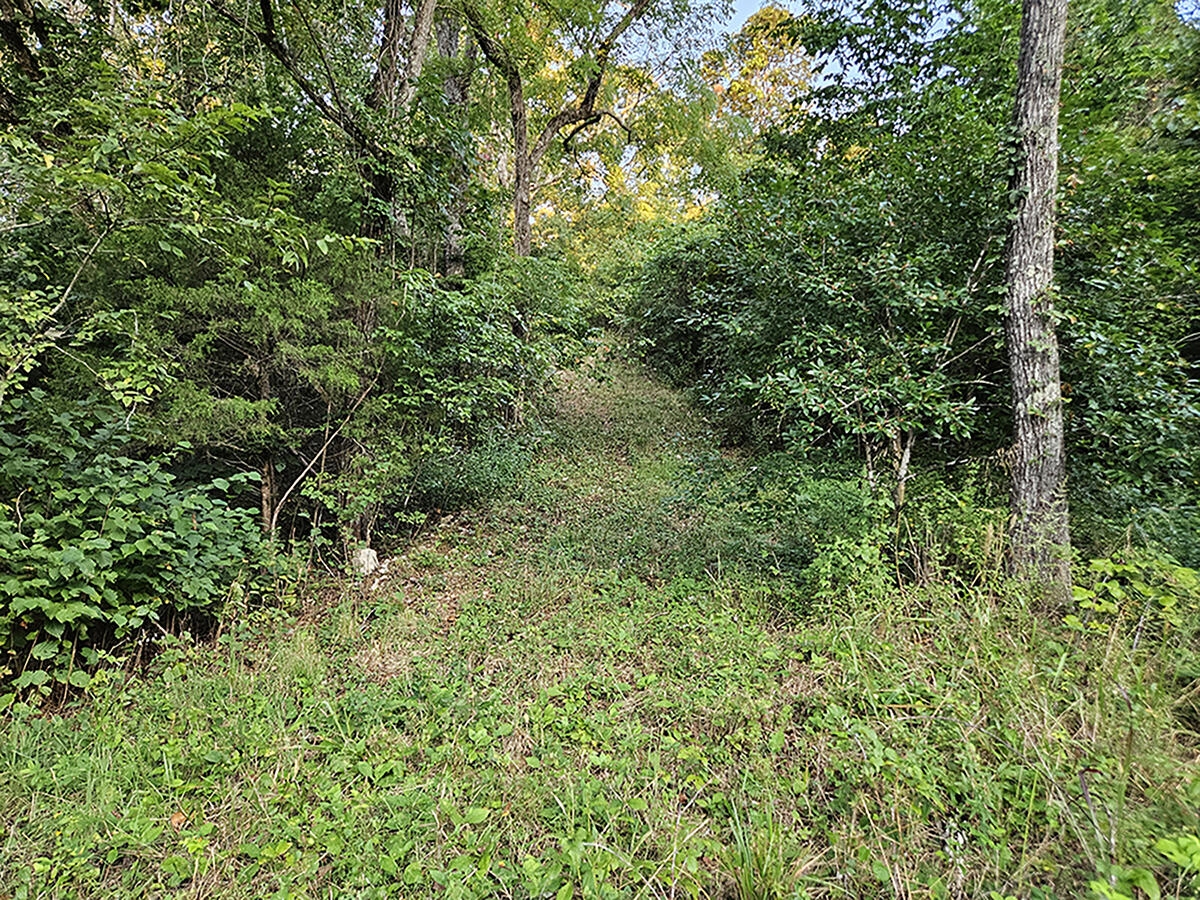 Photo 31 - Land for sale – 0  County Road 235   Drury, MO