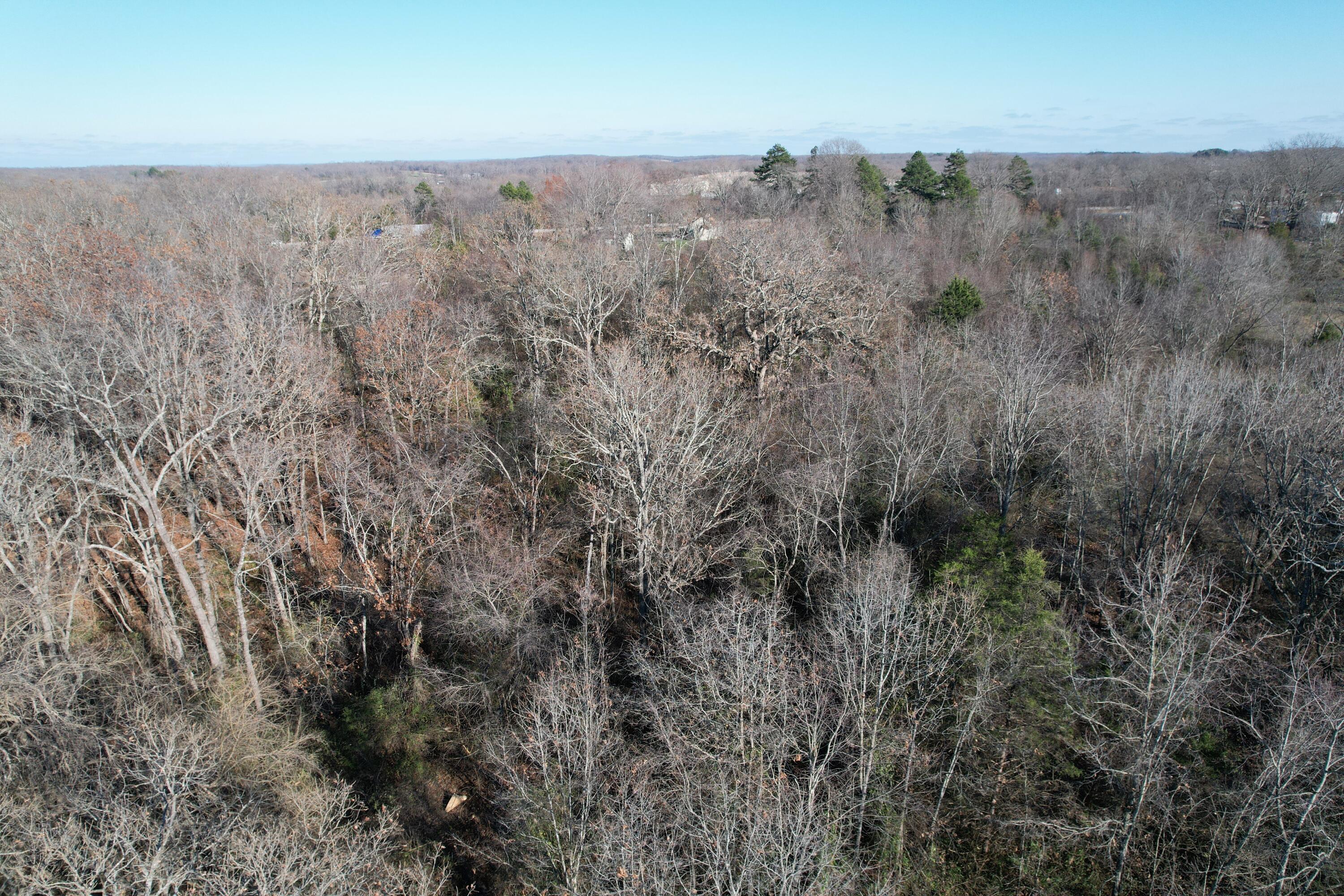 Photo 3 - Residential for sale – 000  Highway 63   Pomona, MO