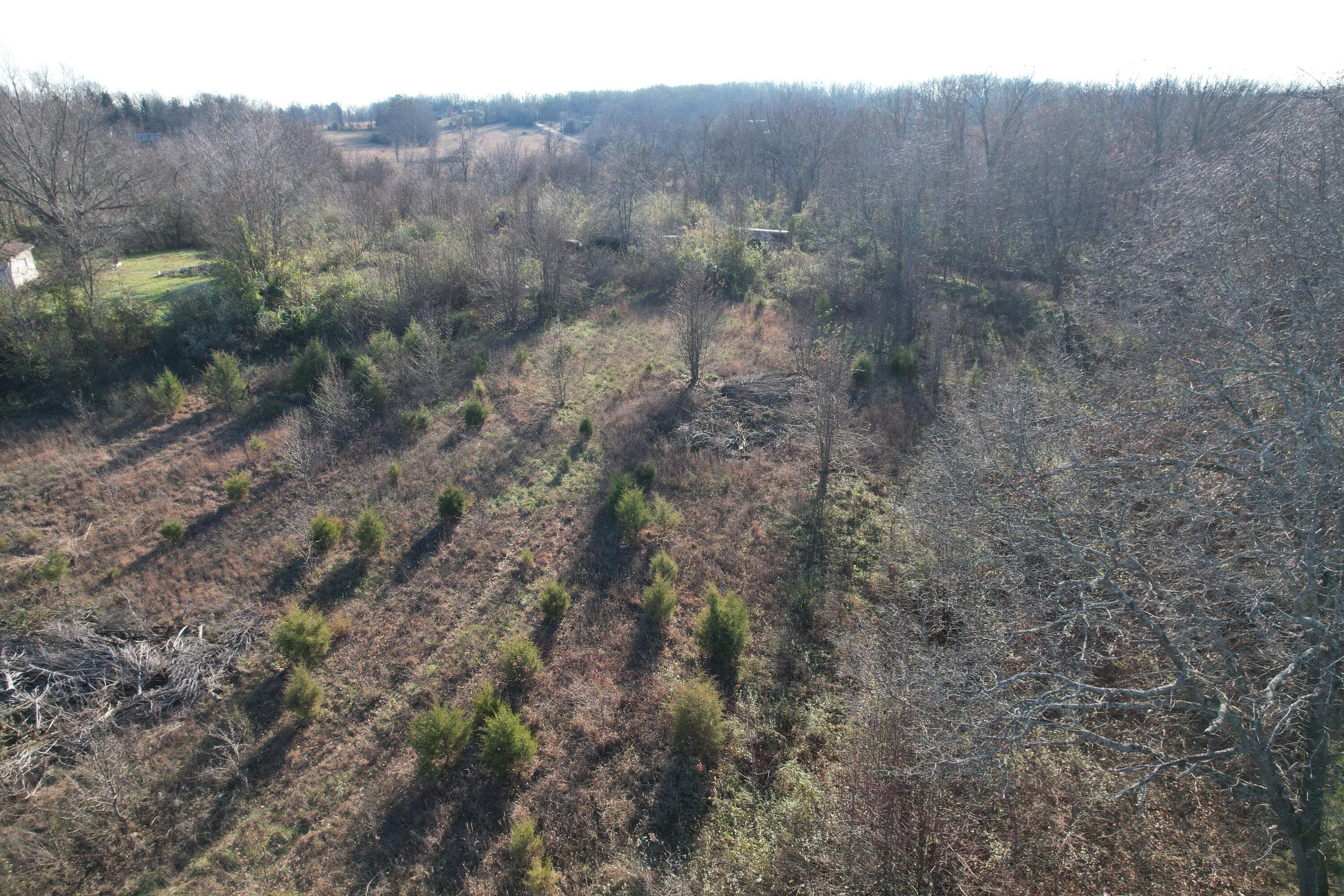 Photo 19 - Residential for sale – 000  Highway 63   Pomona, MO