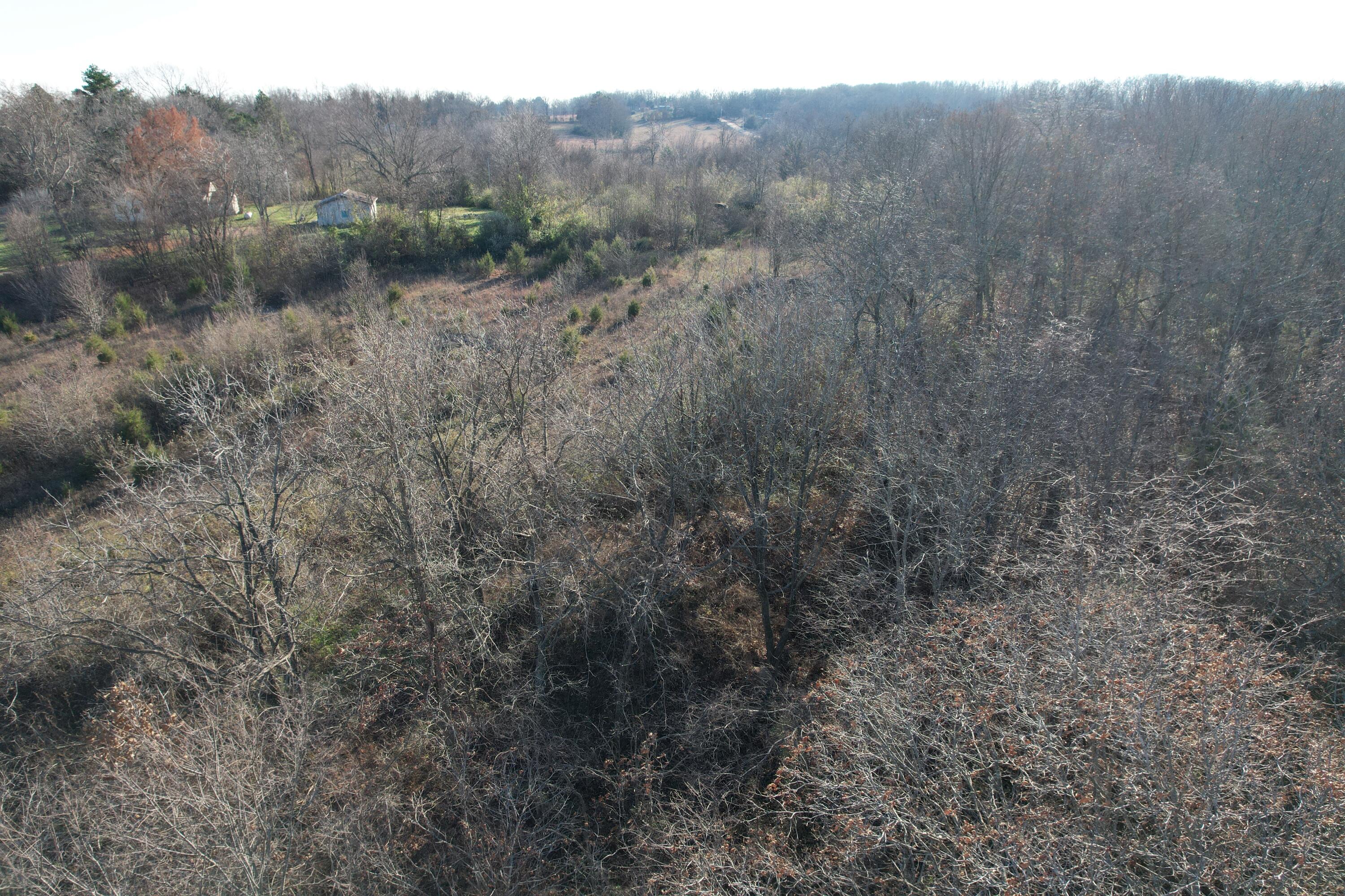 Photo 18 - Residential for sale – 000  Highway 63   Pomona, MO