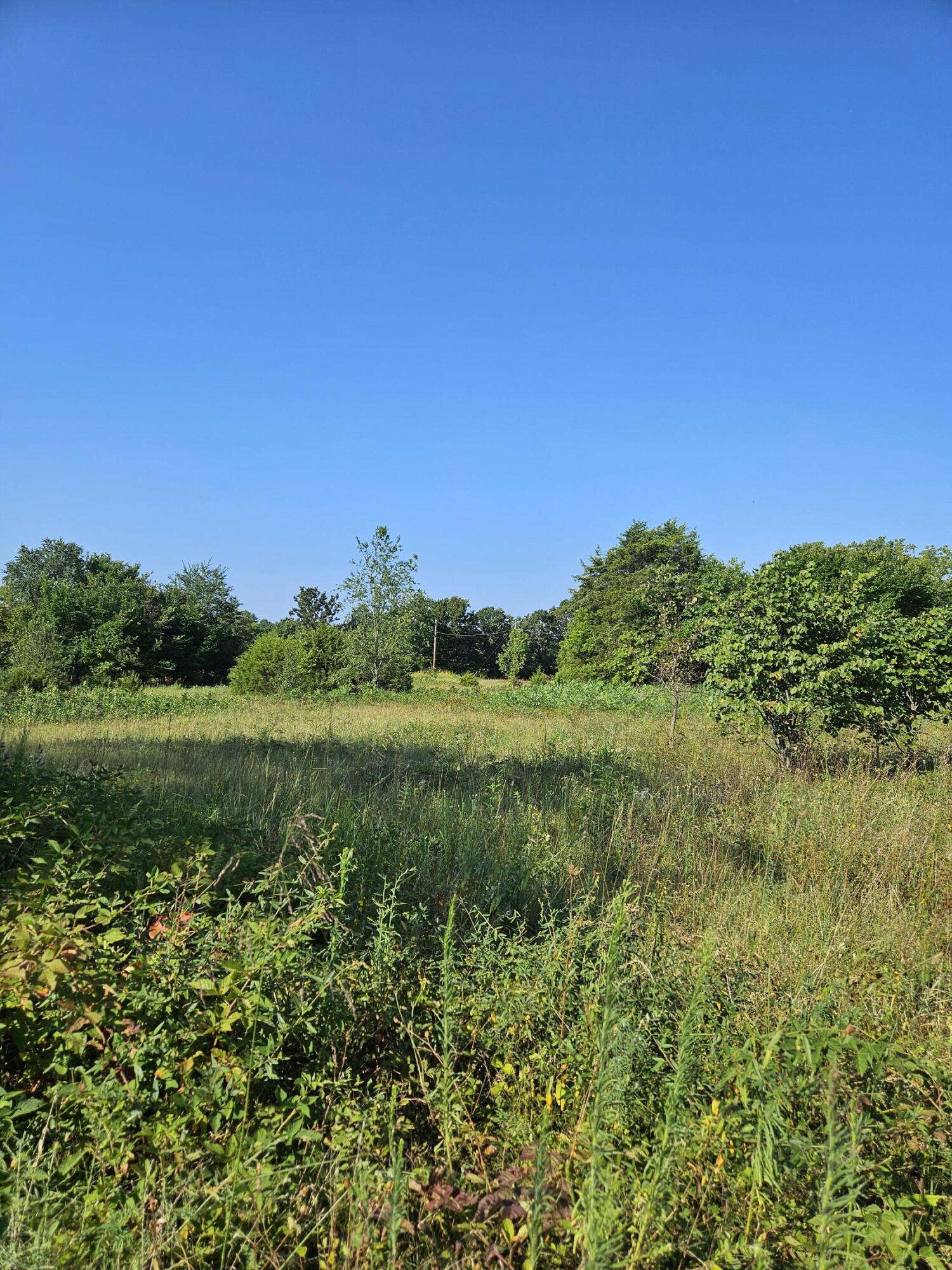 Photo 3 - Land for sale – 000  Lawrence 1040   Pierce City, MO