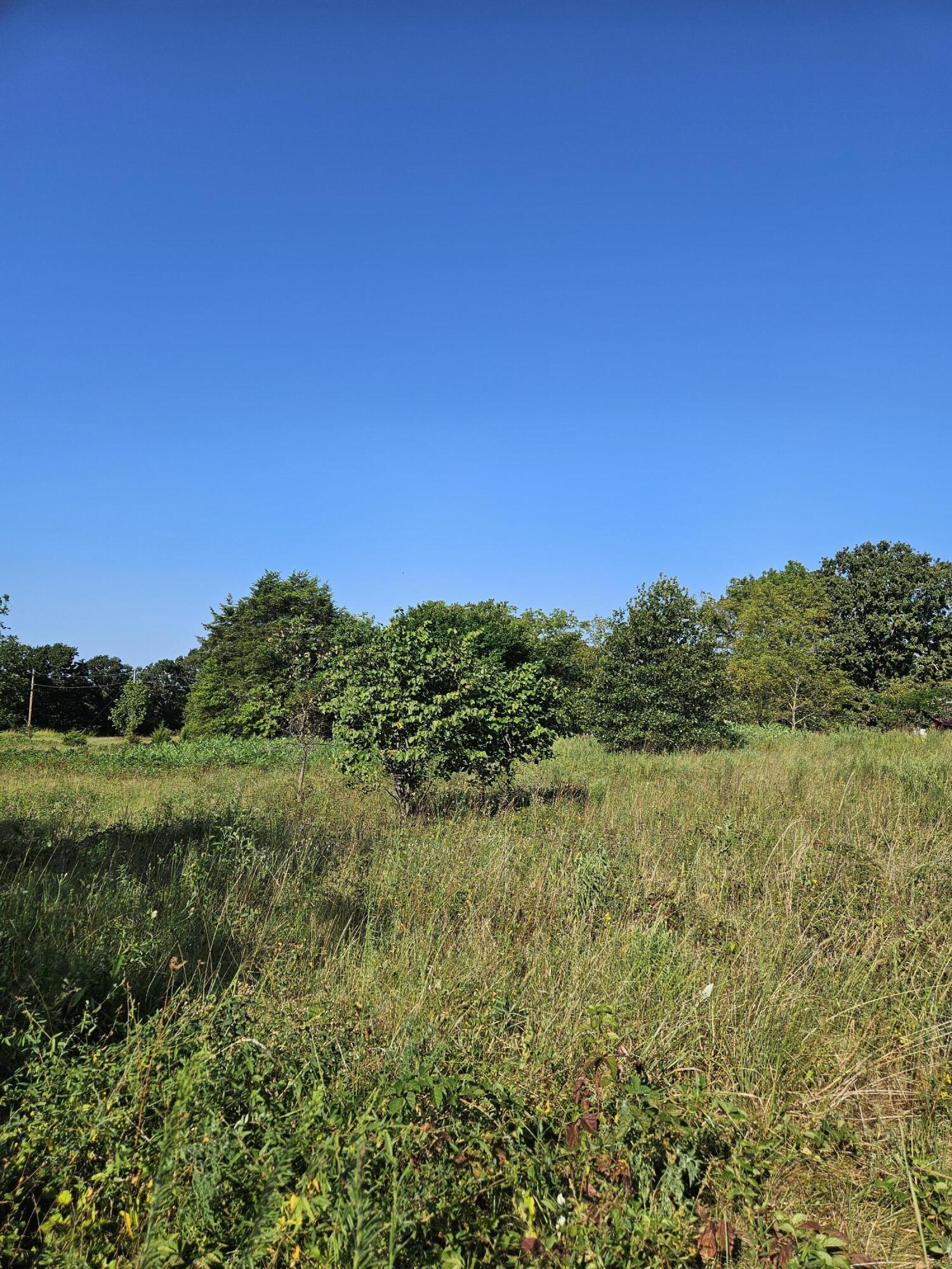 Land for sale – 000  Lawrence 1040   Pierce City, MO