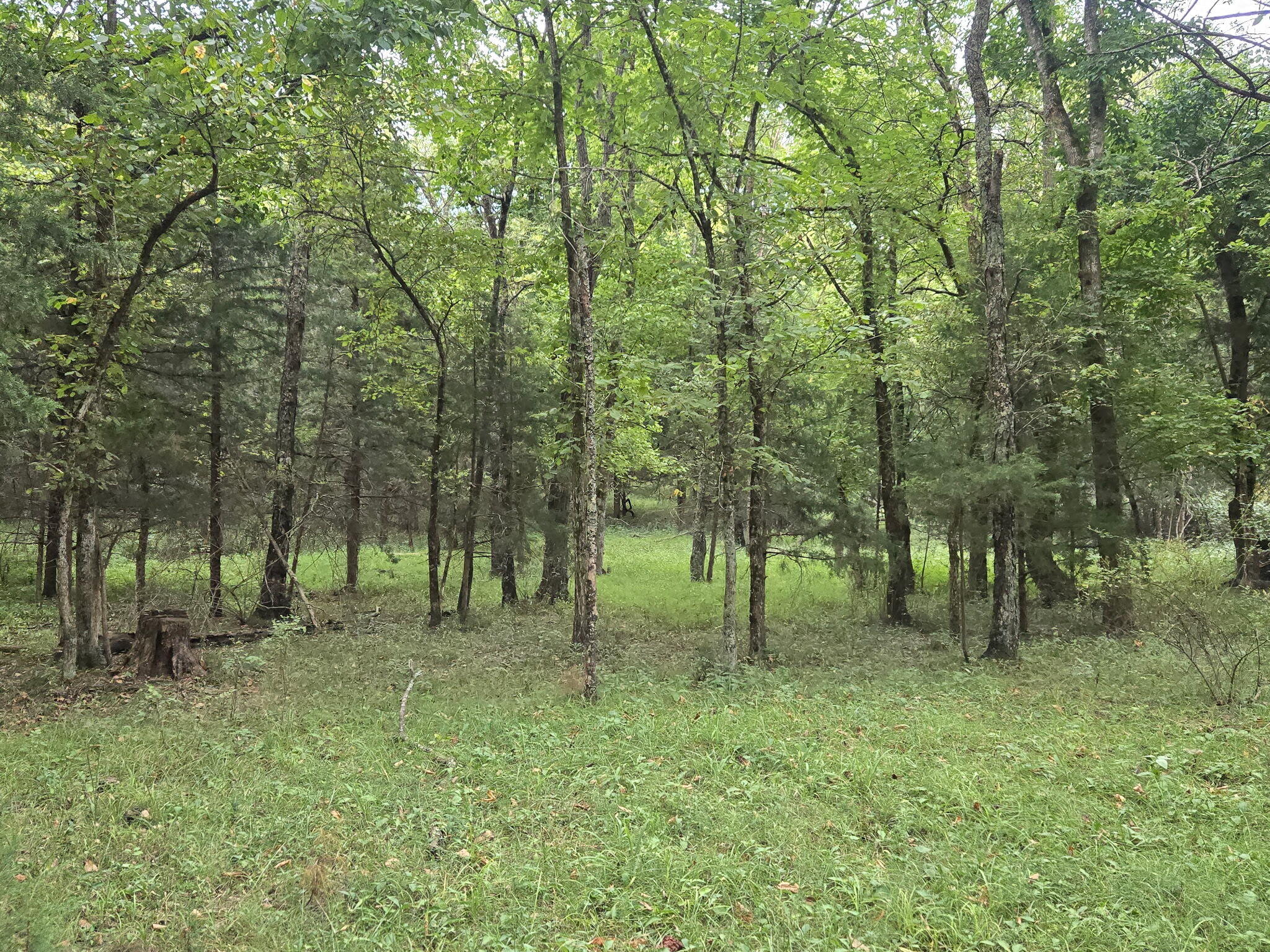 Photo 45 - Residential for sale – 3207 S 205th Road  Goodson, MO