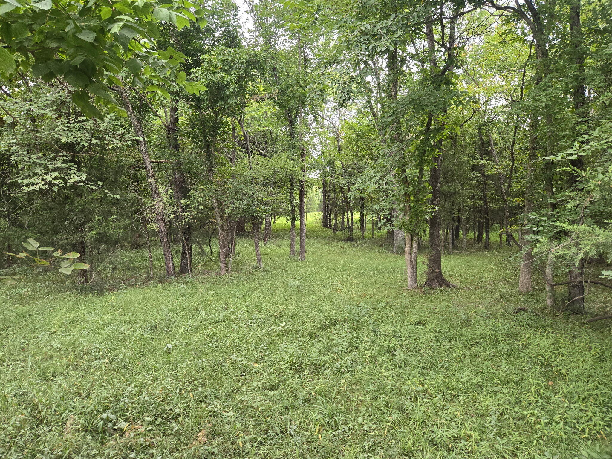 Photo 46 - Residential for sale – 3207 S 205th Road  Goodson, MO