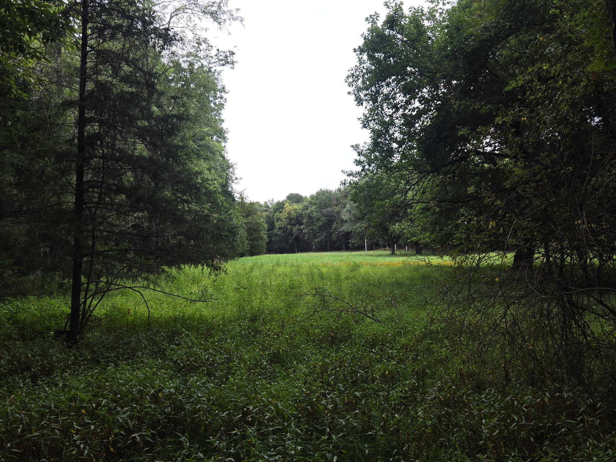 Photo 42 - Residential for sale – 3207 S 205th Road  Goodson, MO