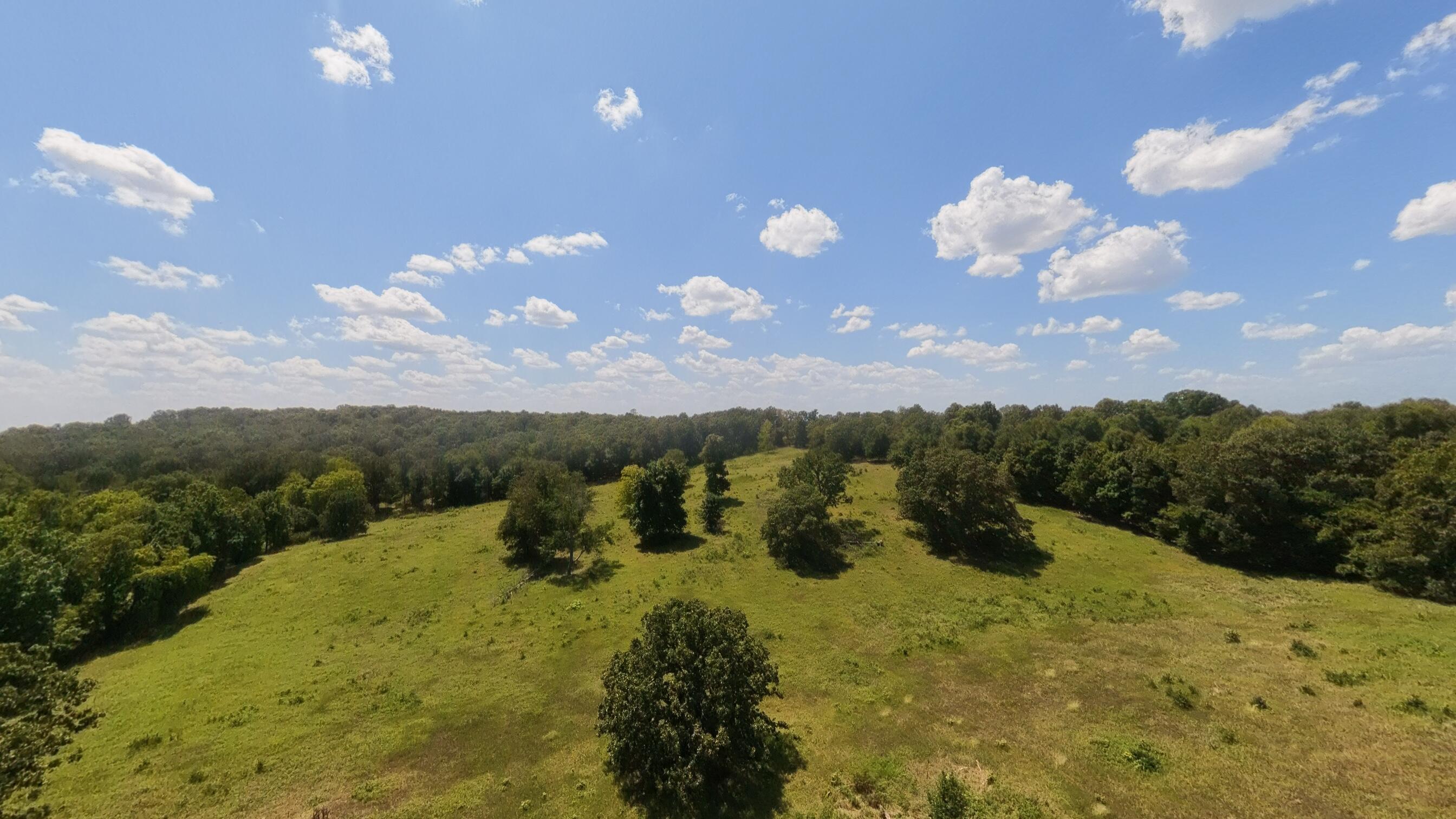 Photo 13 - Land for sale – 000  Bamber Street  Mammoth Spring, AR