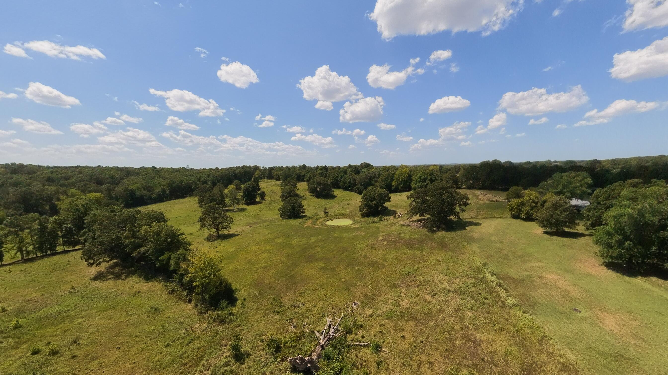 Photo 6 - Land for sale – 000  Bamber Street  Mammoth Spring, AR