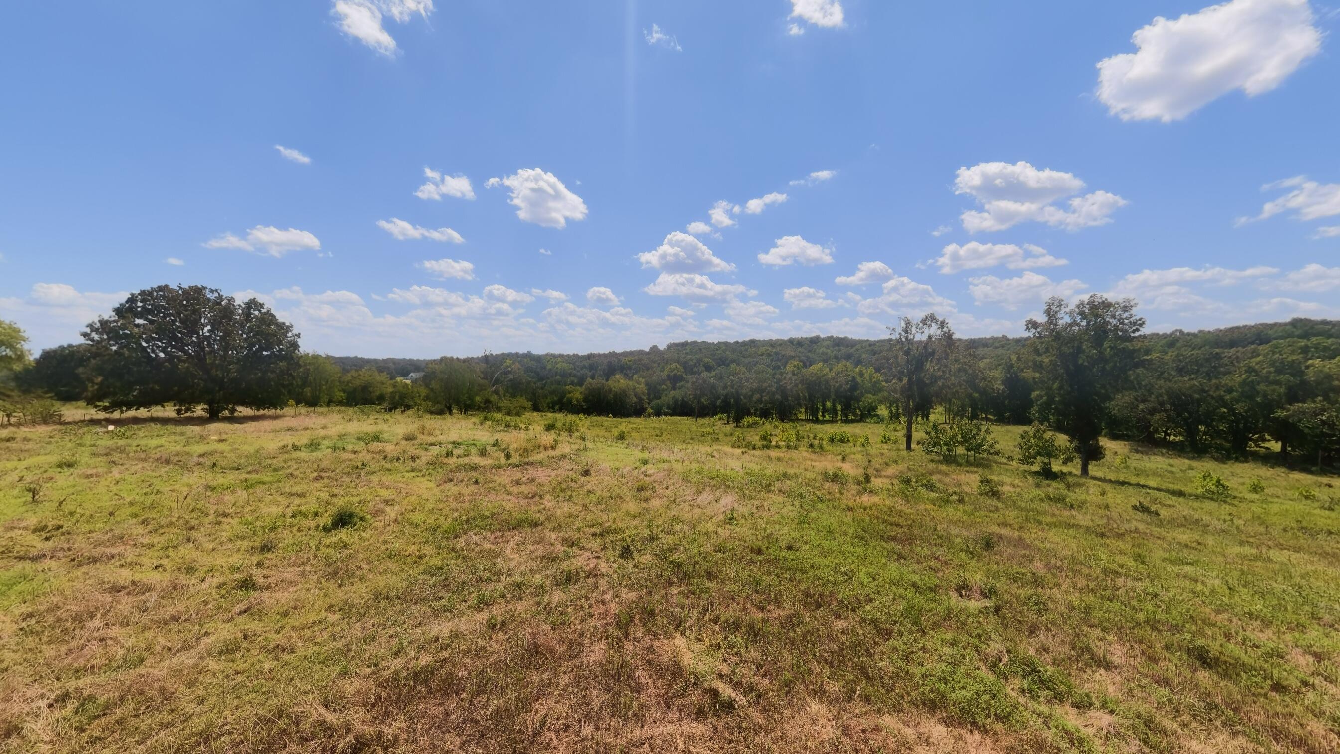 Photo 36 - Land for sale – 000  Bamber Street  Mammoth Spring, AR