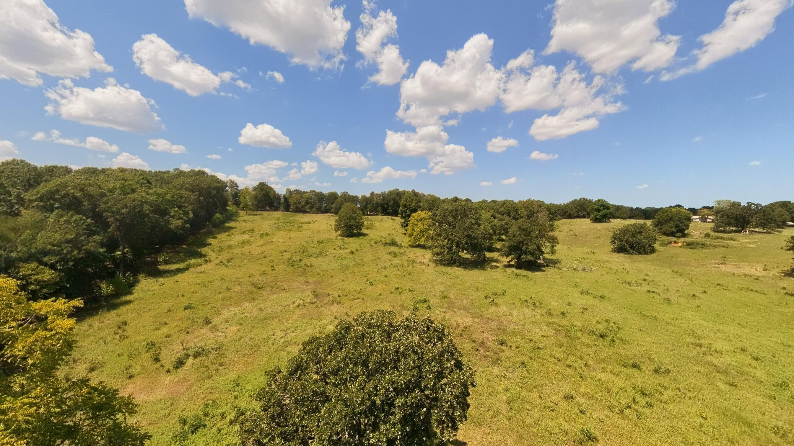 Photo 21 - Land for sale – 000  Bamber Street  Mammoth Spring, AR