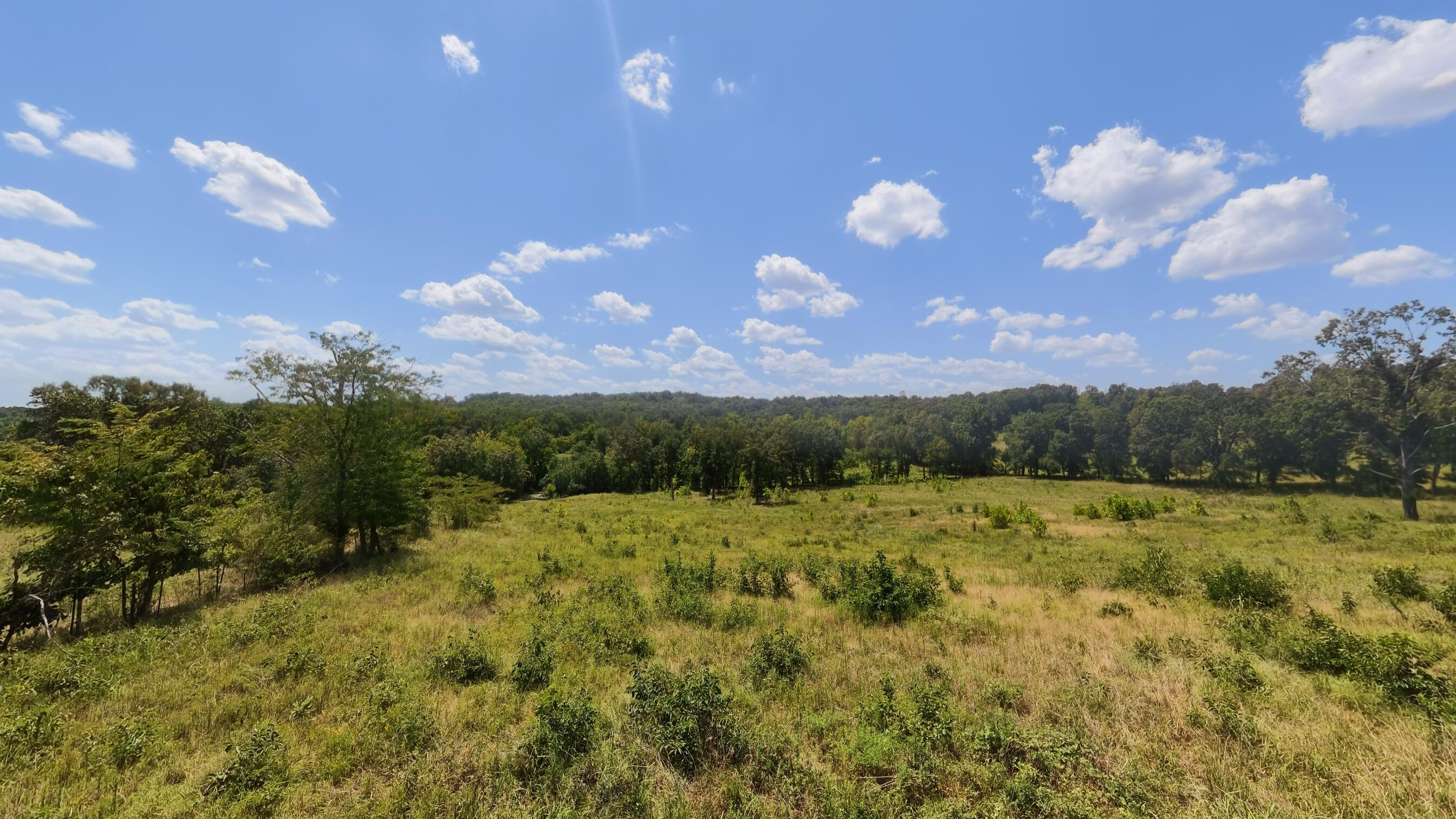 Photo 32 - Land for sale – 000  Bamber Street  Mammoth Spring, AR