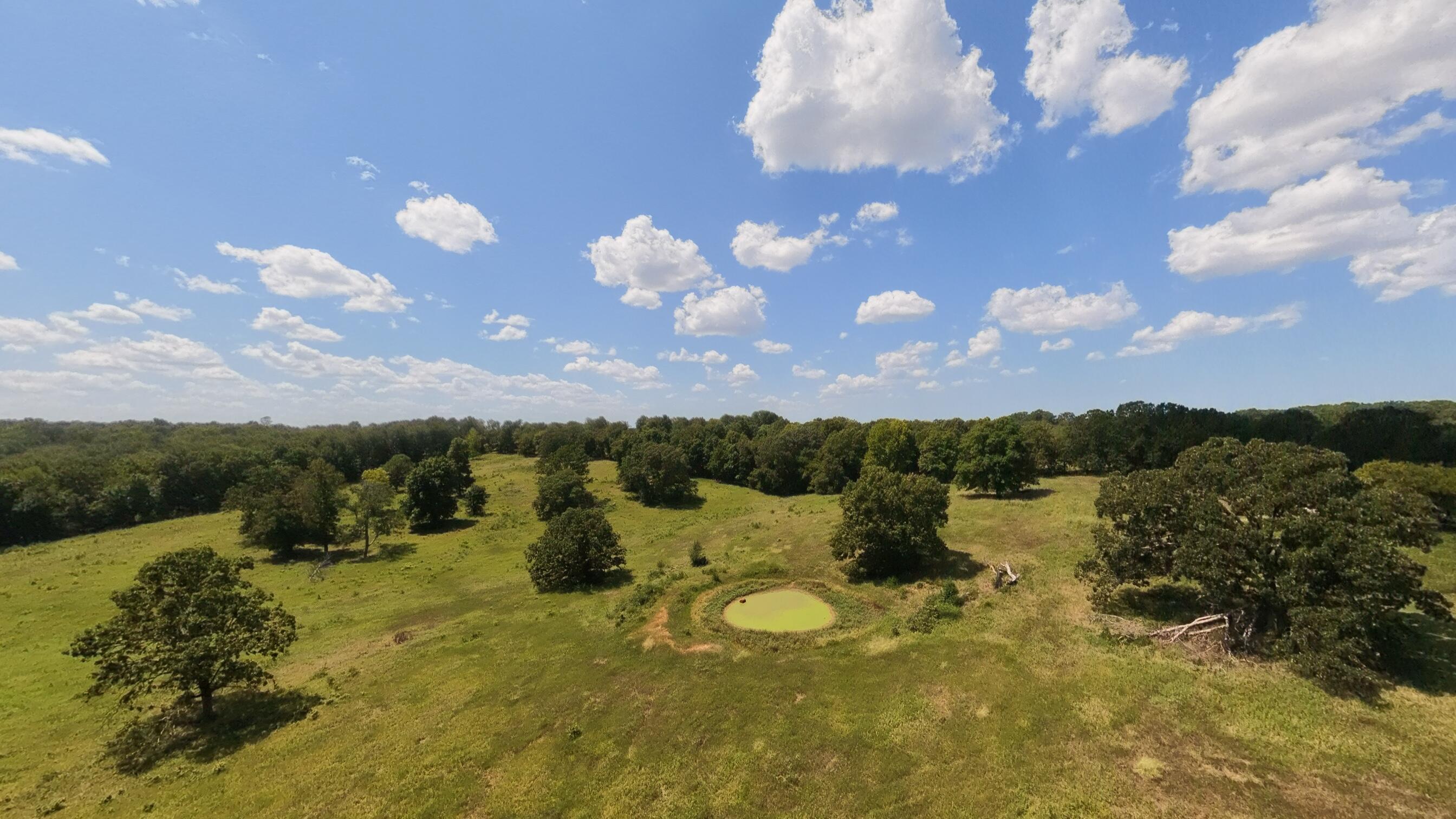 Photo 9 - Land for sale – 000  Bamber Street  Mammoth Spring, AR