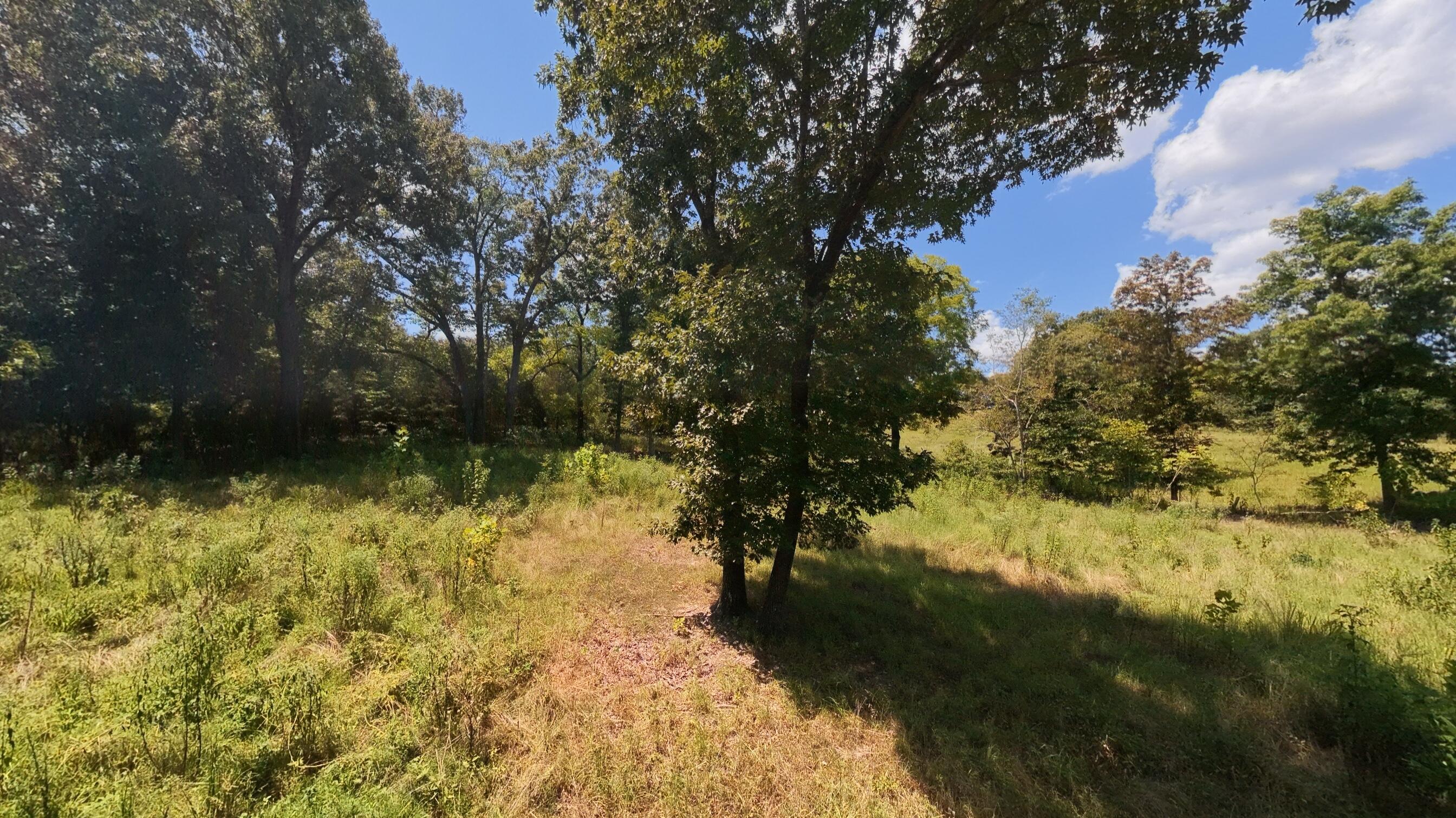 Photo 24 - Land for sale – 000  Bamber Street  Mammoth Spring, AR