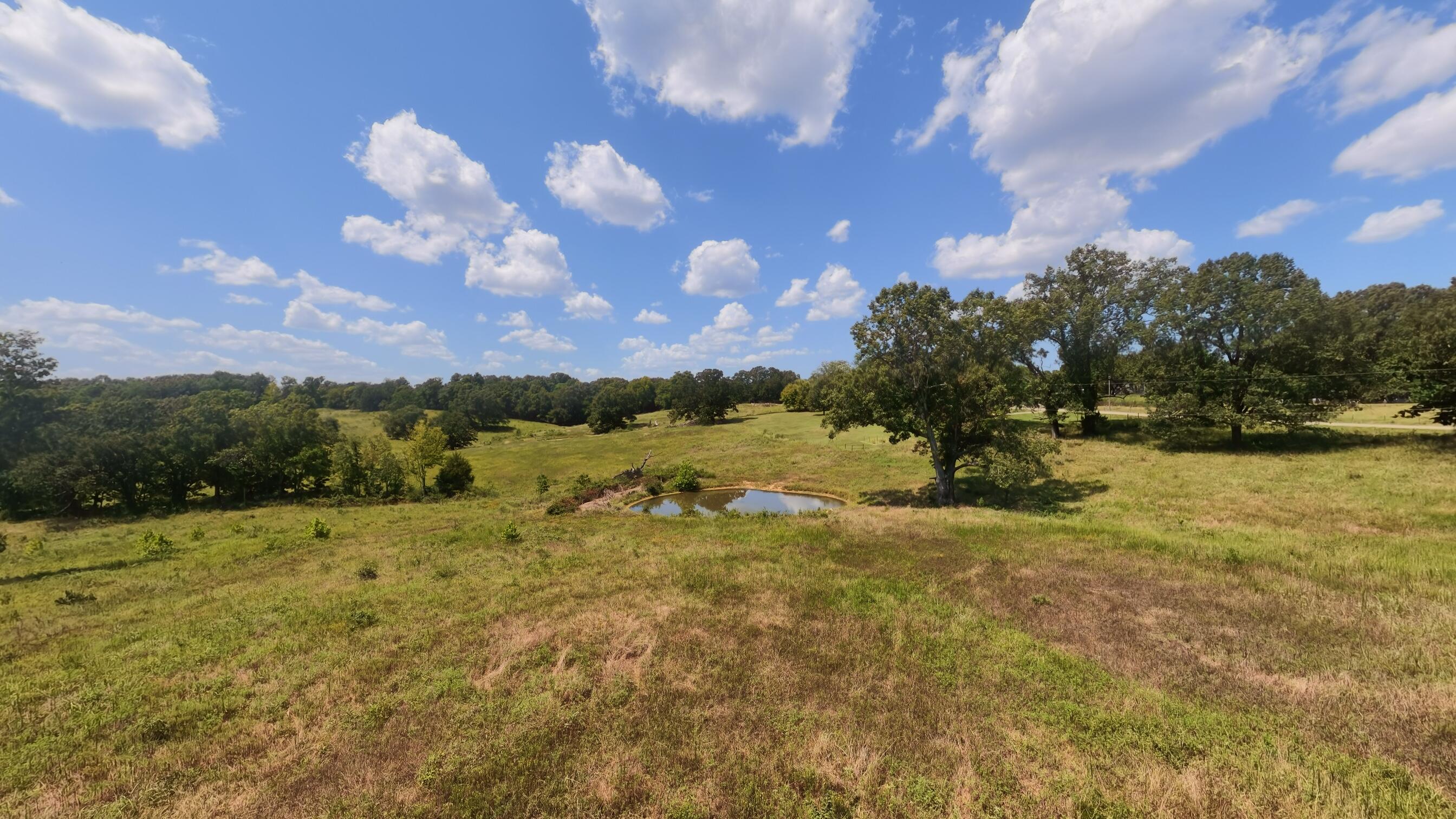 Photo 35 - Land for sale – 000  Bamber Street  Mammoth Spring, AR