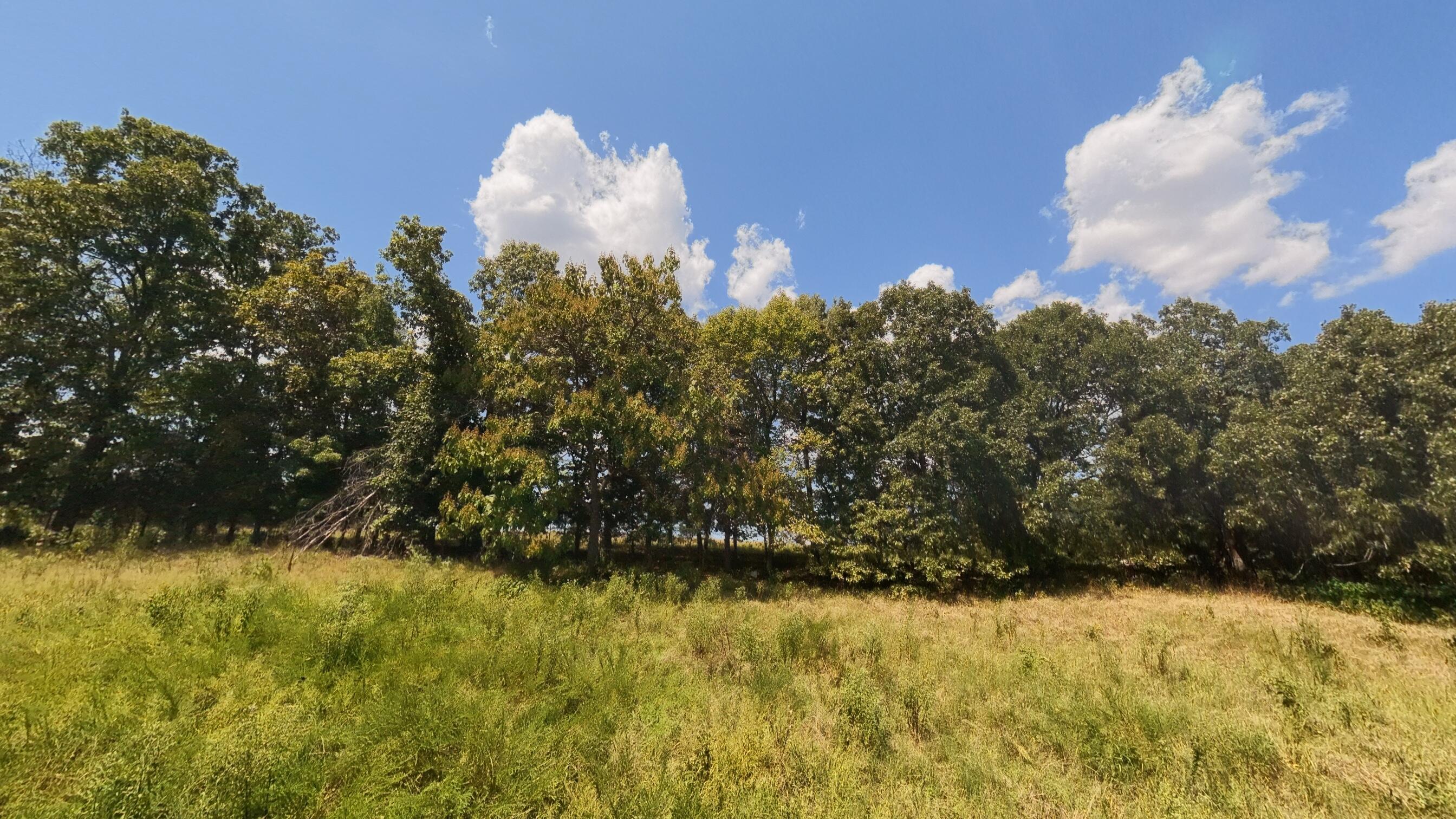 Photo 17 - Land for sale – 000  Bamber Street  Mammoth Spring, AR