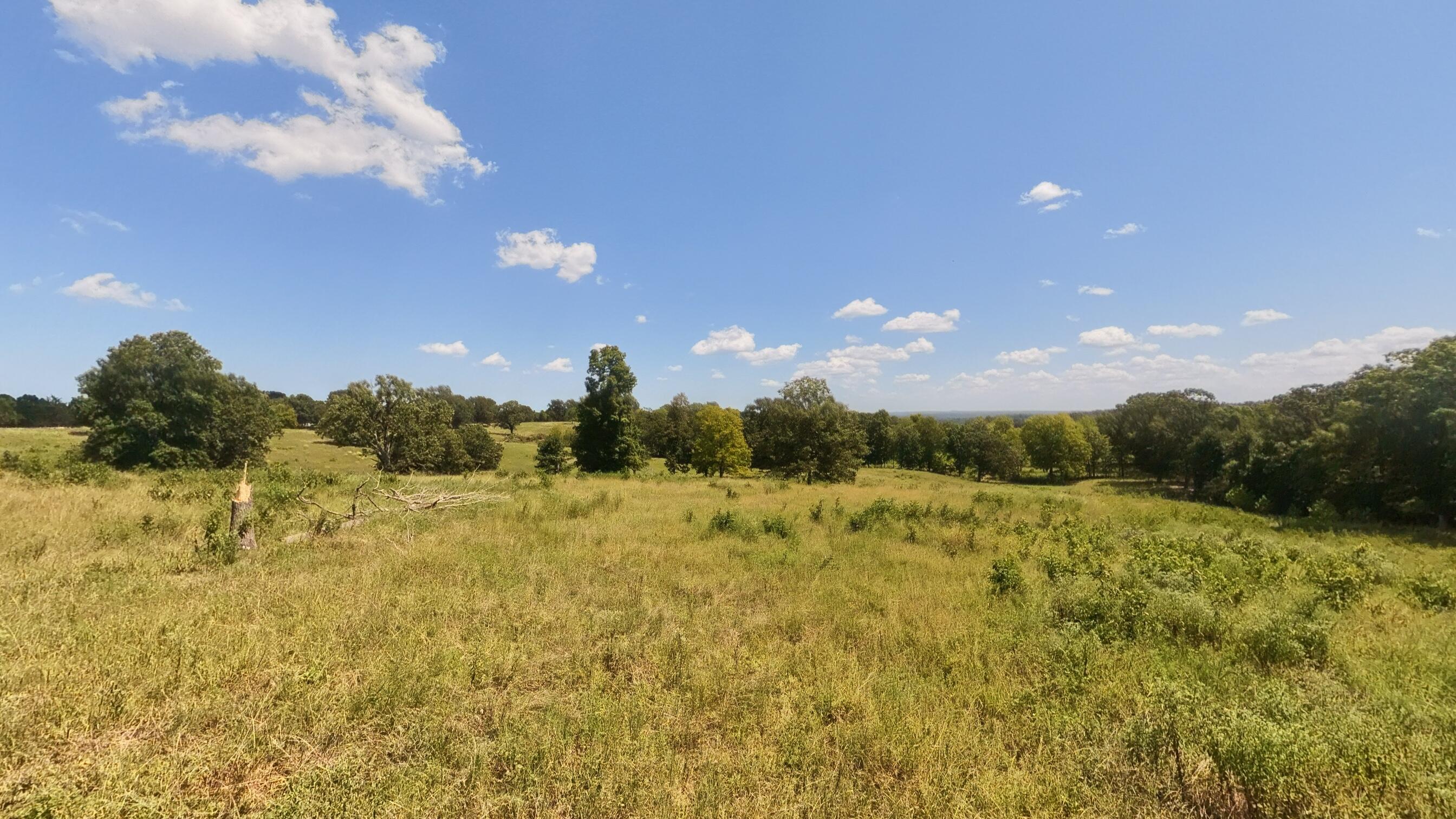 Photo 15 - Land for sale – 000  Bamber Street  Mammoth Spring, AR