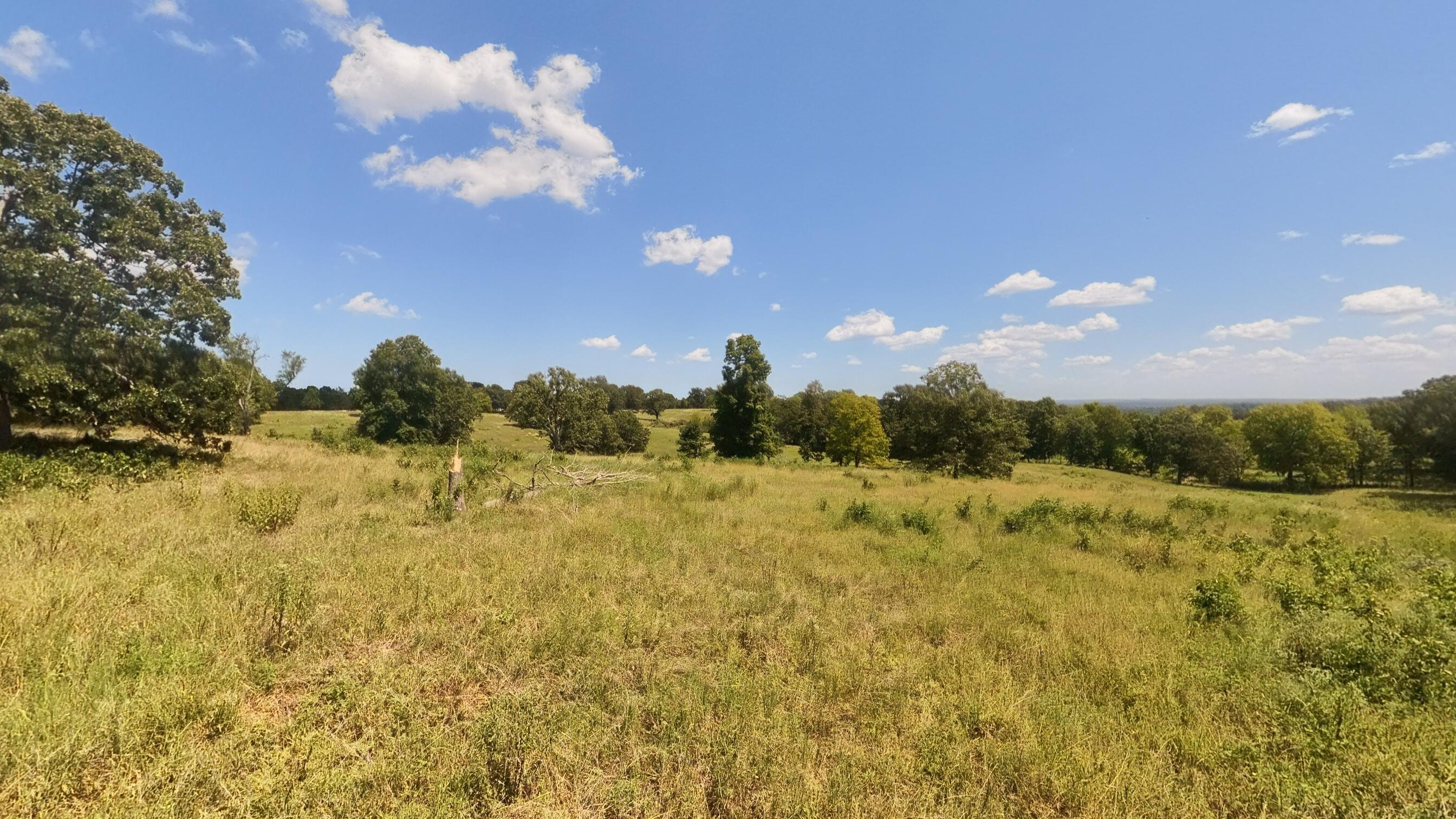 Photo 18 - Land for sale – 000  Bamber Street  Mammoth Spring, AR