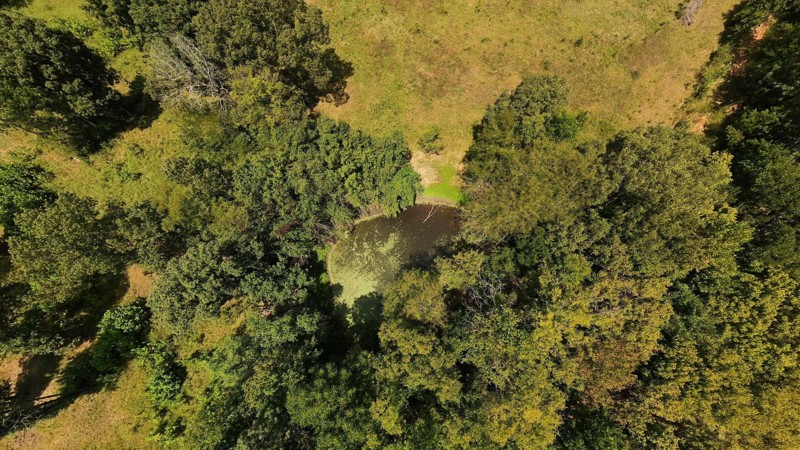 Photo 28 - Land for sale – 000  Bamber Street  Mammoth Spring, AR