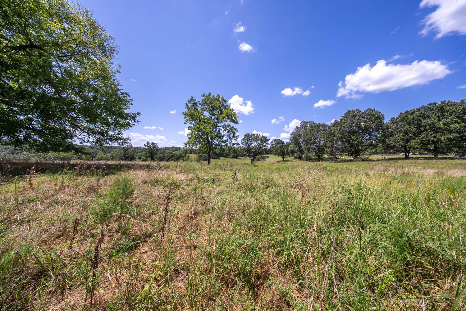 Photo 38 - Land for sale – 000  Bamber Street  Mammoth Spring, AR