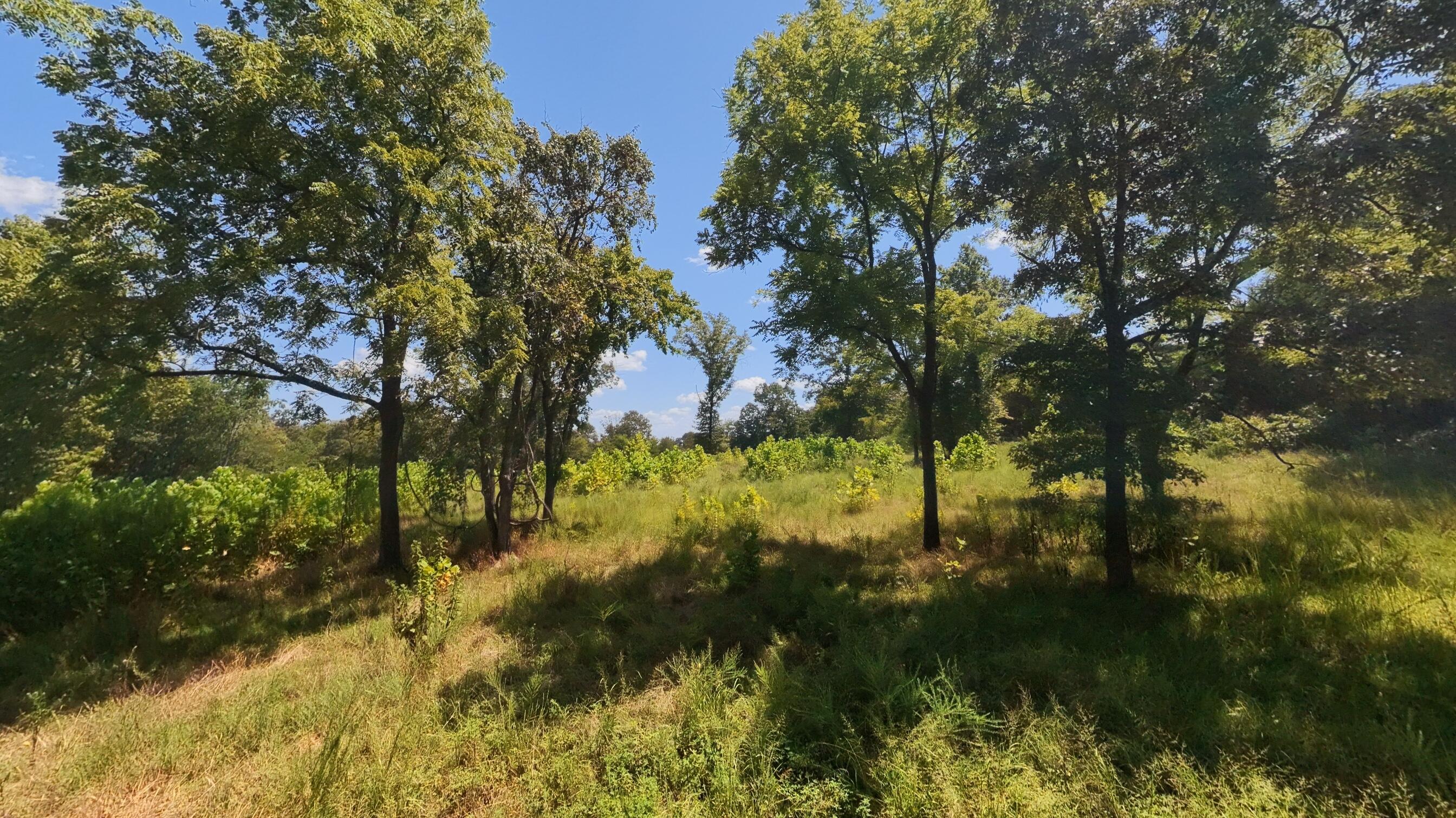 Photo 22 - Land for sale – 000  Bamber Street  Mammoth Spring, AR