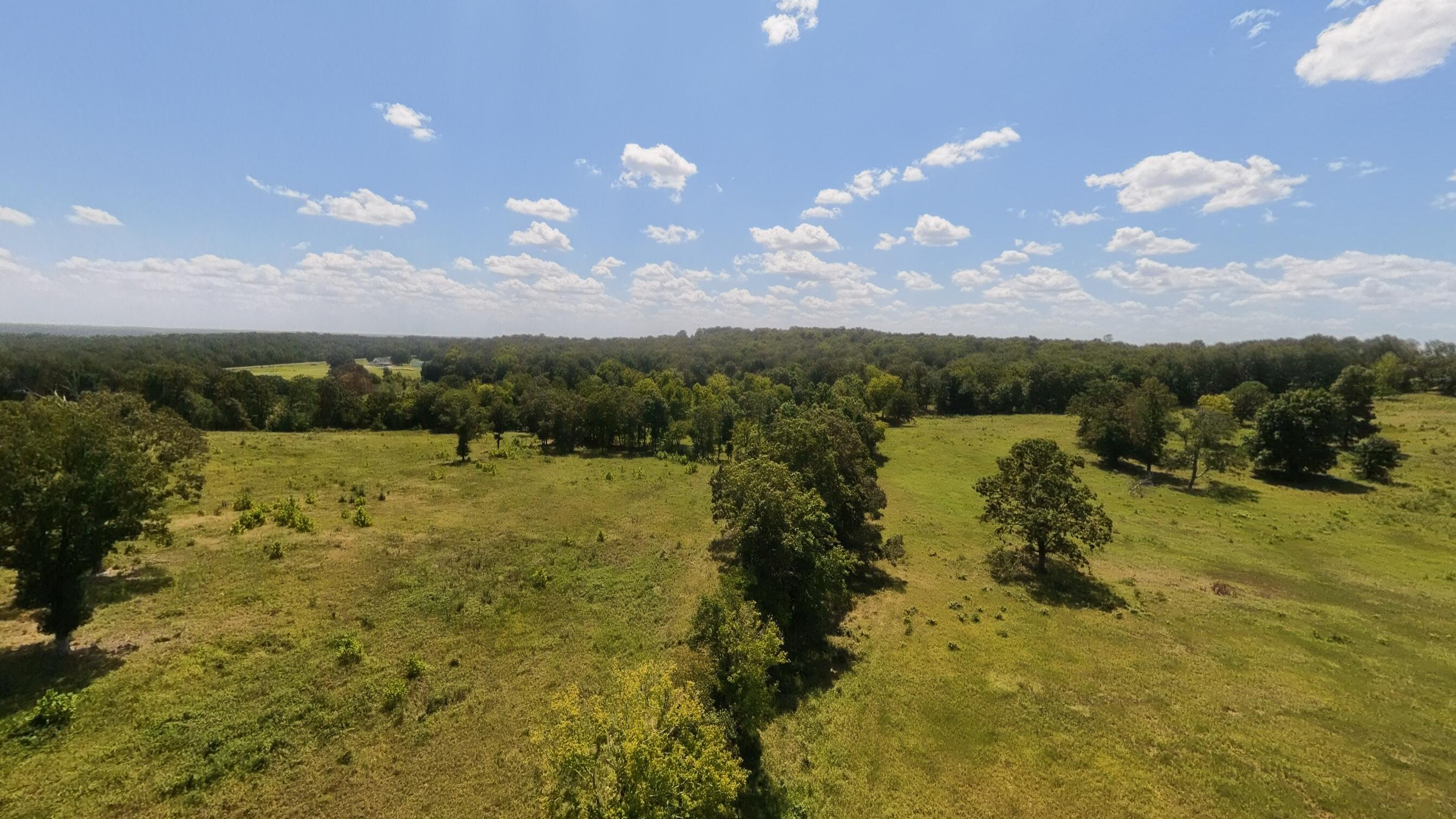 Photo 11 - Land for sale – 000  Bamber Street  Mammoth Spring, AR
